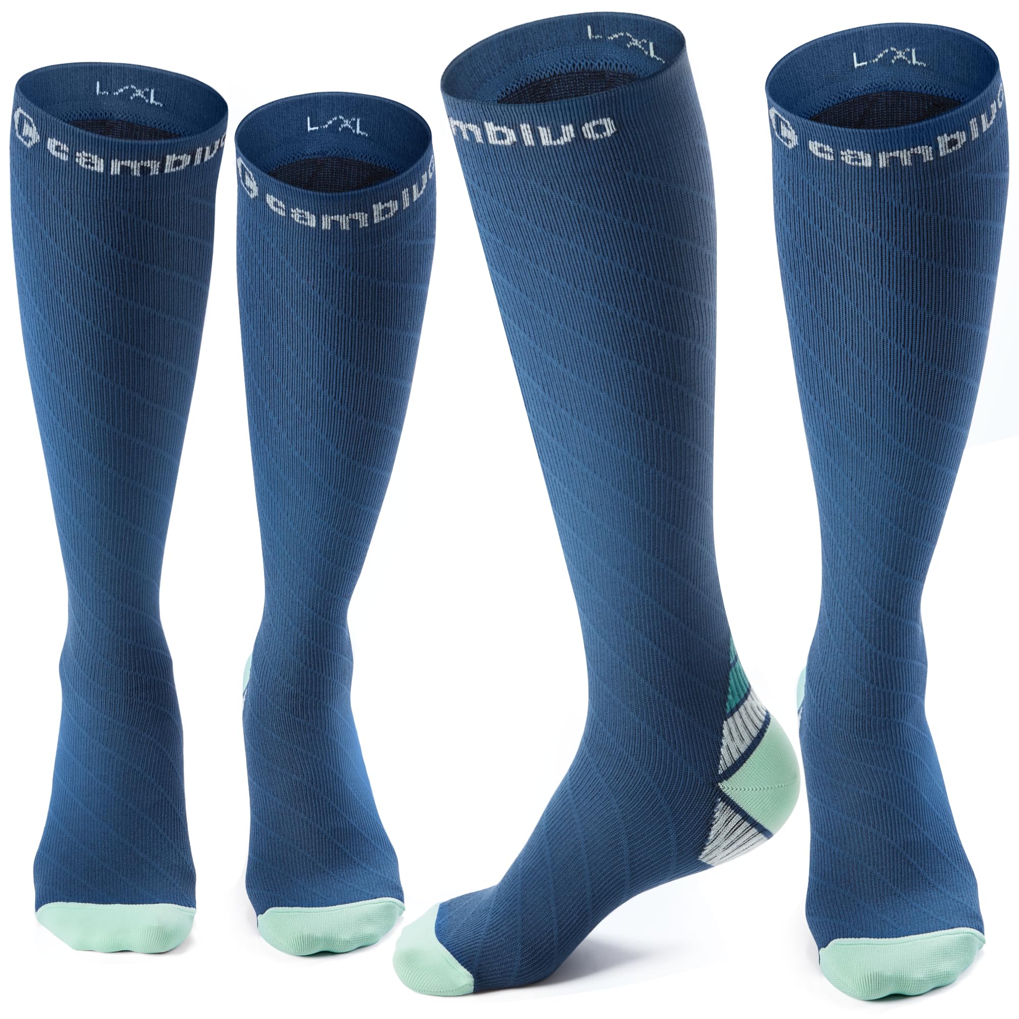 CAMBIVO Calze Compressione Graduata Donna e Uomo 2 Paia, Calze Elastiche a Compressione Graduata per Sport, Running, Trekking, Viaggio in Aereo