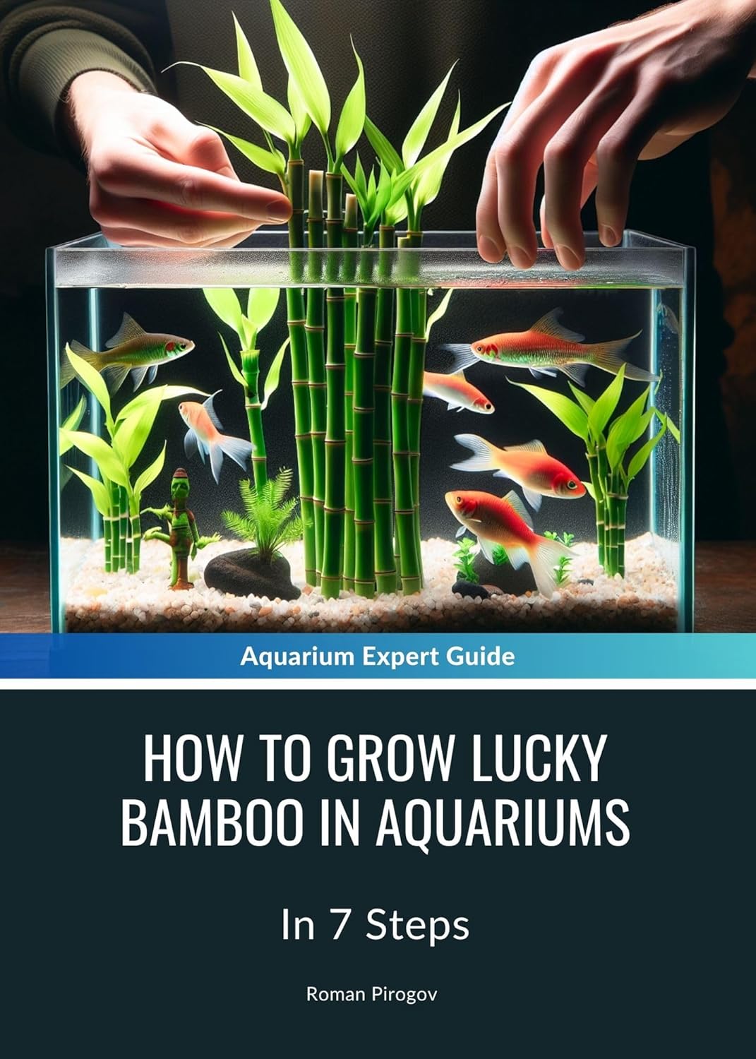 How To Grow Lucky Bamboo In Aquariums In 7 Steps eBook Pirogov