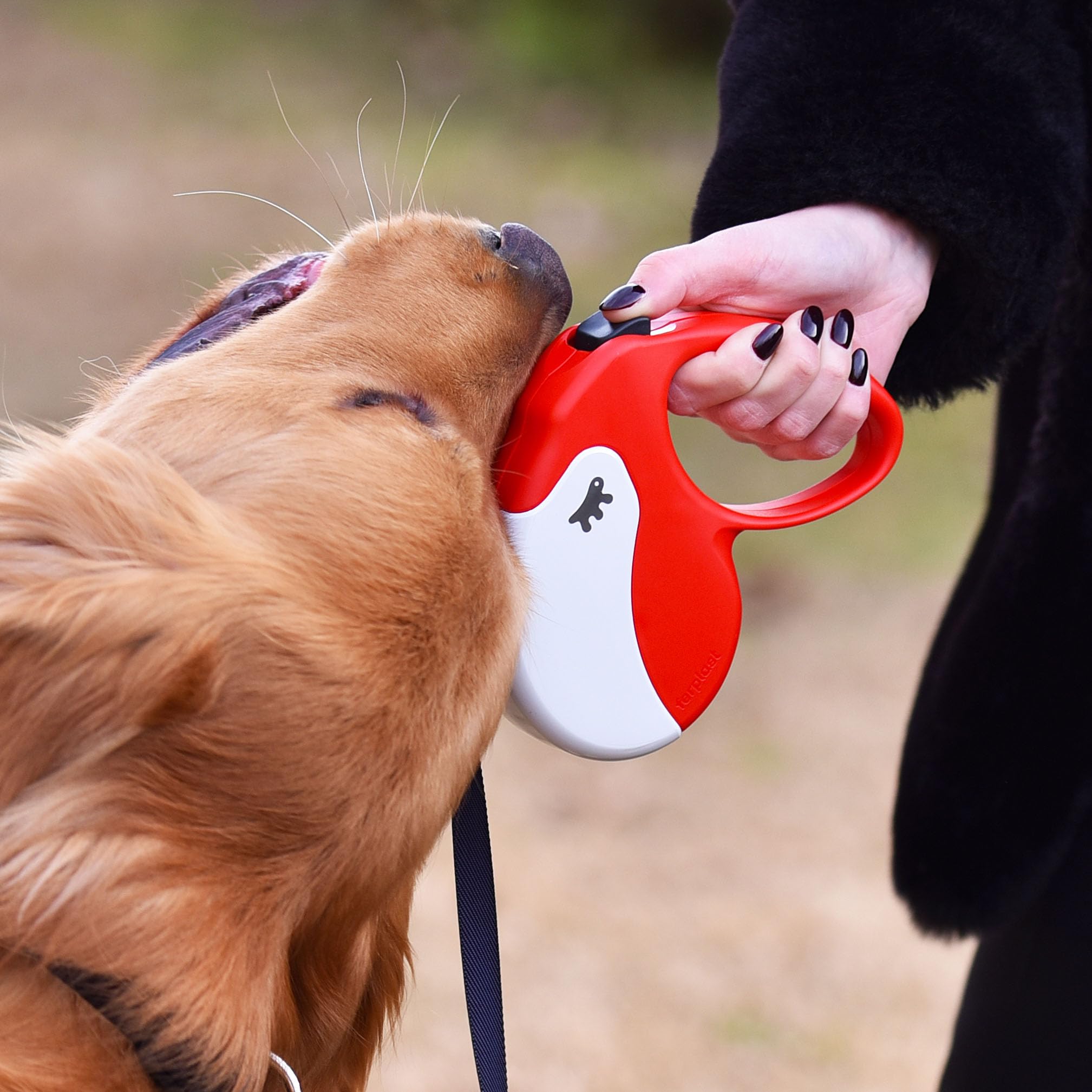Ferplast Guinzaglio per Cani Guinzaglio Allungabile per cani AMIGO TAPE L, Fettuccia allungabile, 5 m, max 50 kg, Lilla