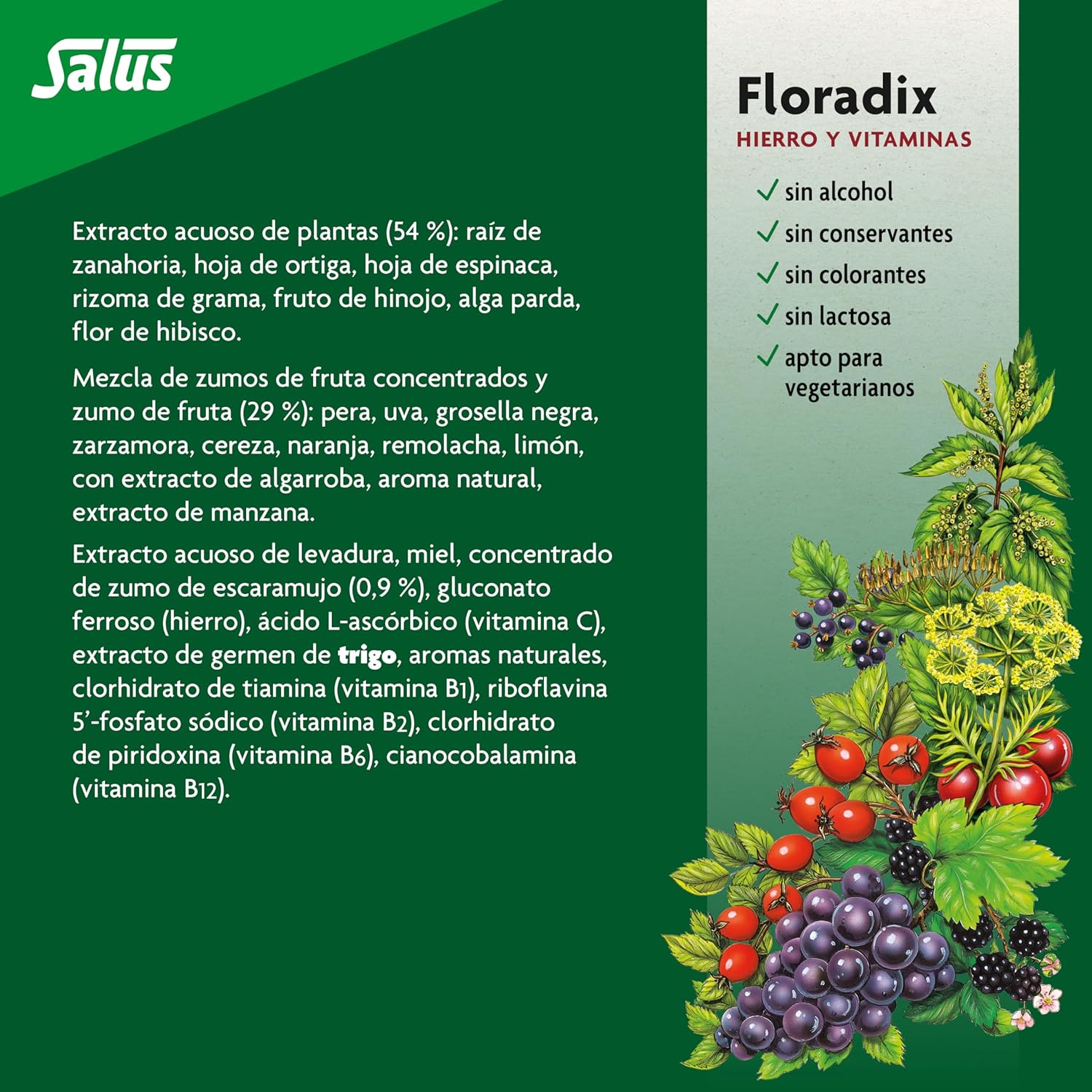 Flora, Floradix Iron + Herbs, Natural Liquid Iron Supplement, 17 fl Ounce (500 ML)