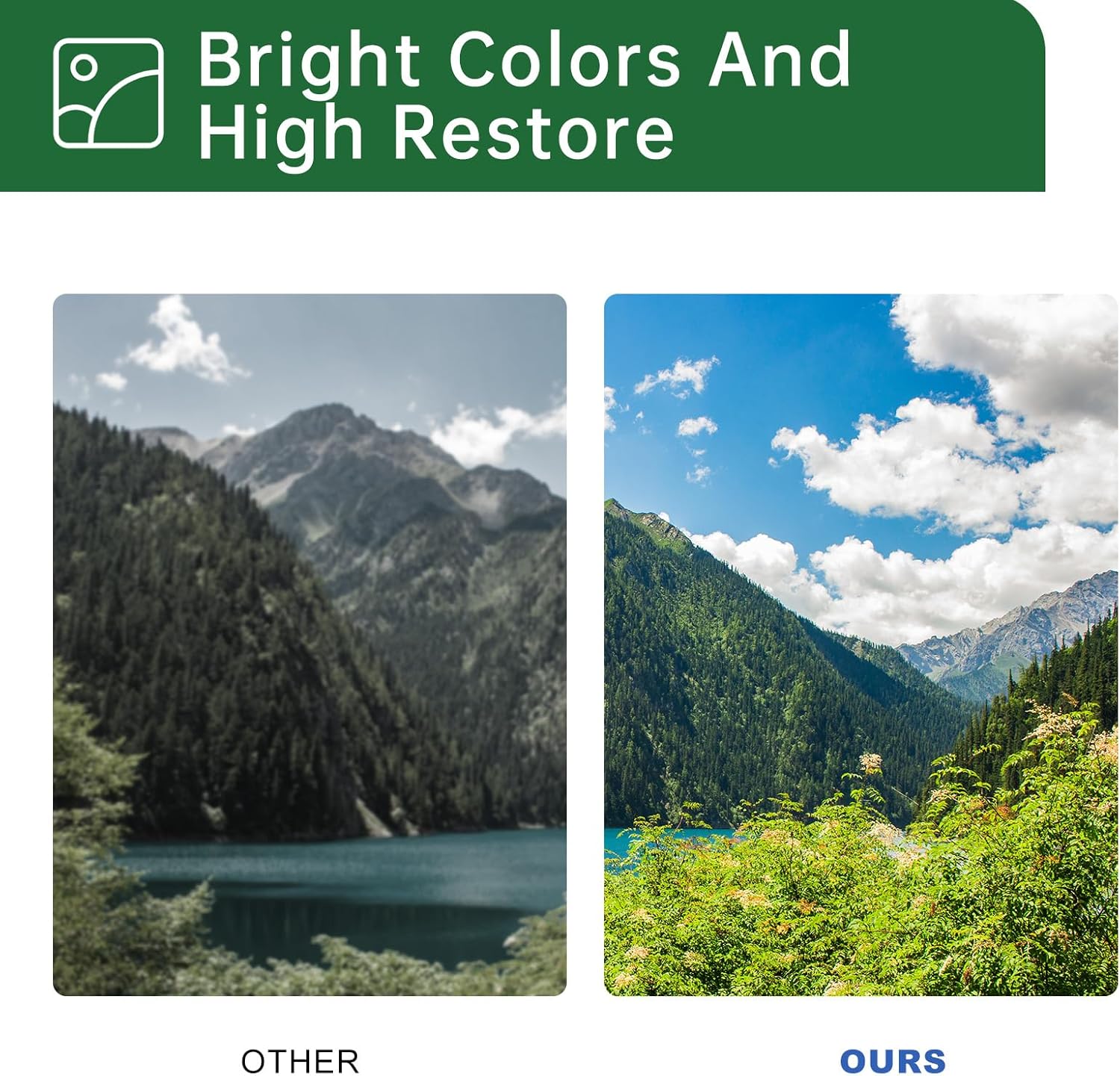 B2236 B220Z00 Imaging Drum Unit Compatible with Lexmark B2236dw MB2236 MB2236adw Printer( 13,000 Pages, Black ×1)