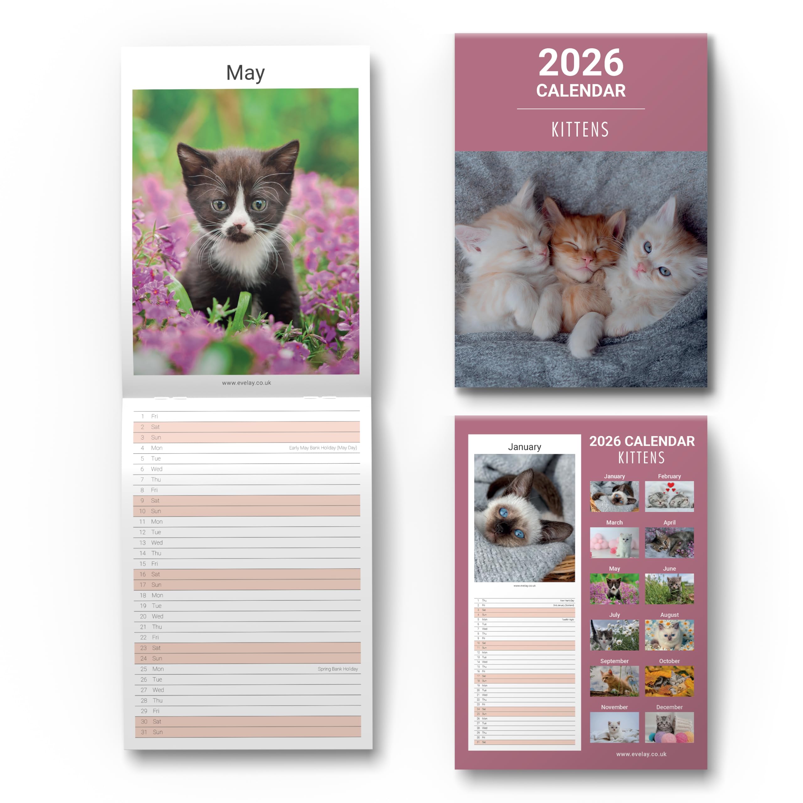 evelay 2026 Slim Wall Calendar Kittens Month to View Family Planner Organiser for Home Office with UK Holidays (Kittens)