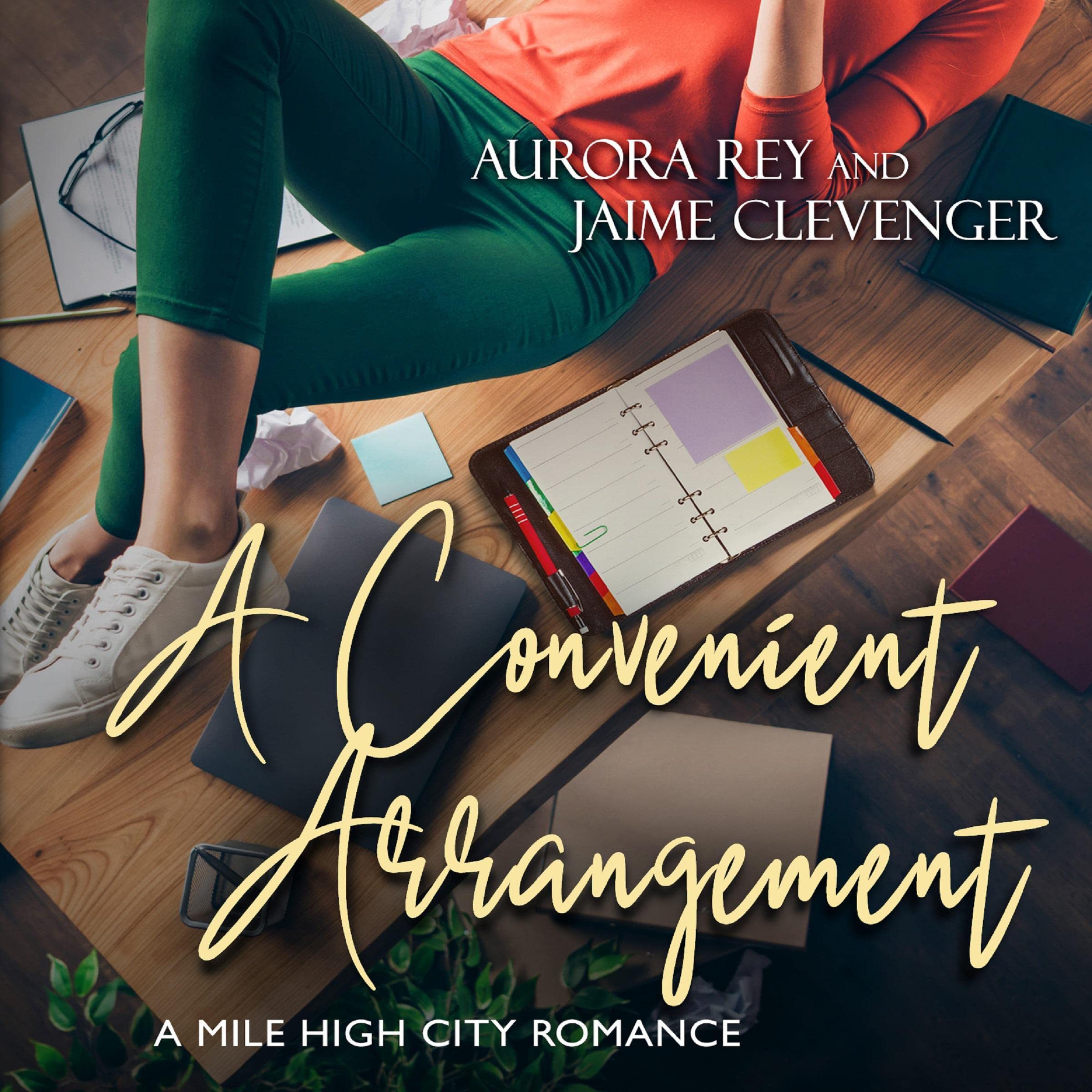 Cover art for A Convenient Arrangement