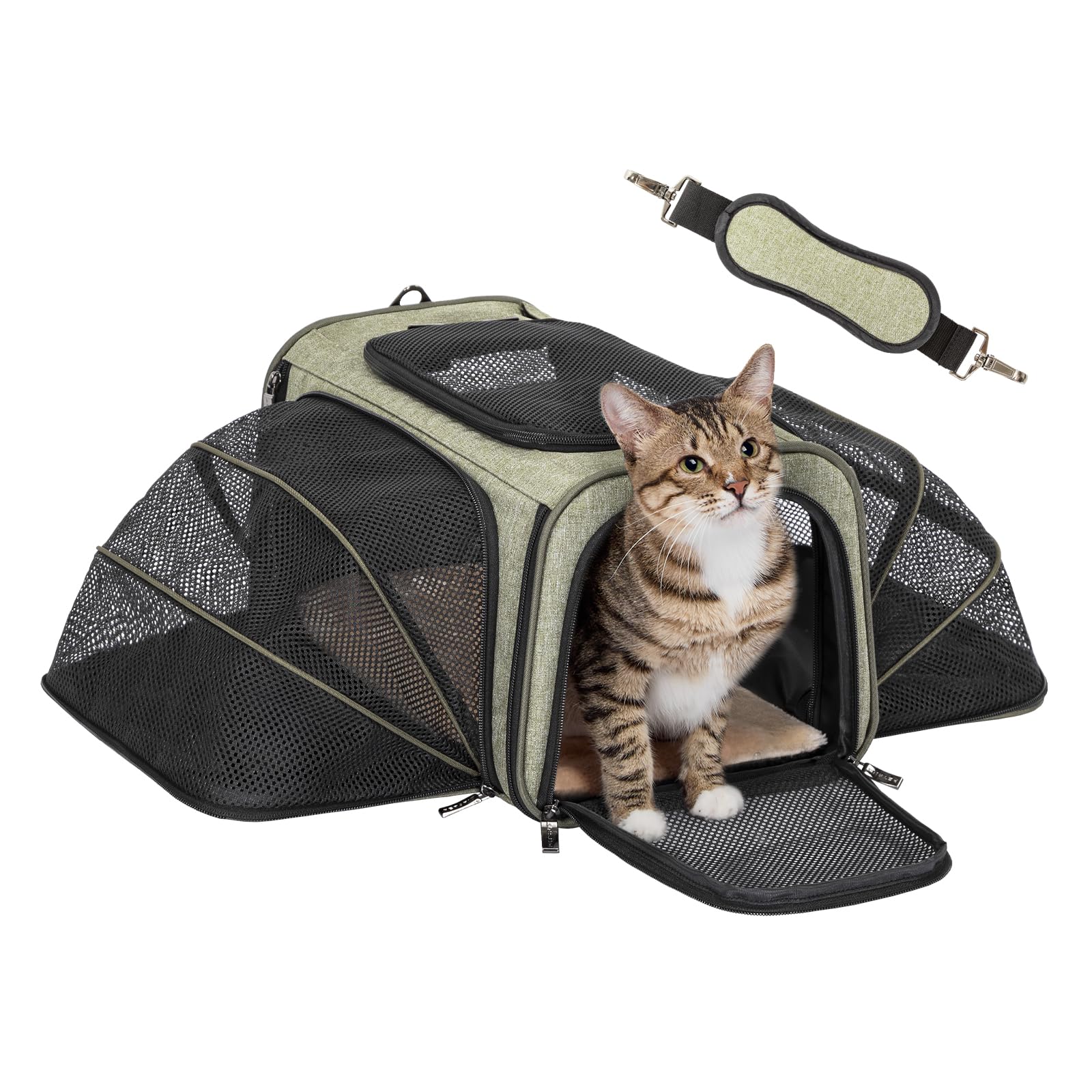 Petsfit Expandable Rabbit Carrier Bunny Carriers, 16 Inch Airline Approved Pet Carrier with 2 Extensions, Soft Washable Cushion, Self-Locking Zipper