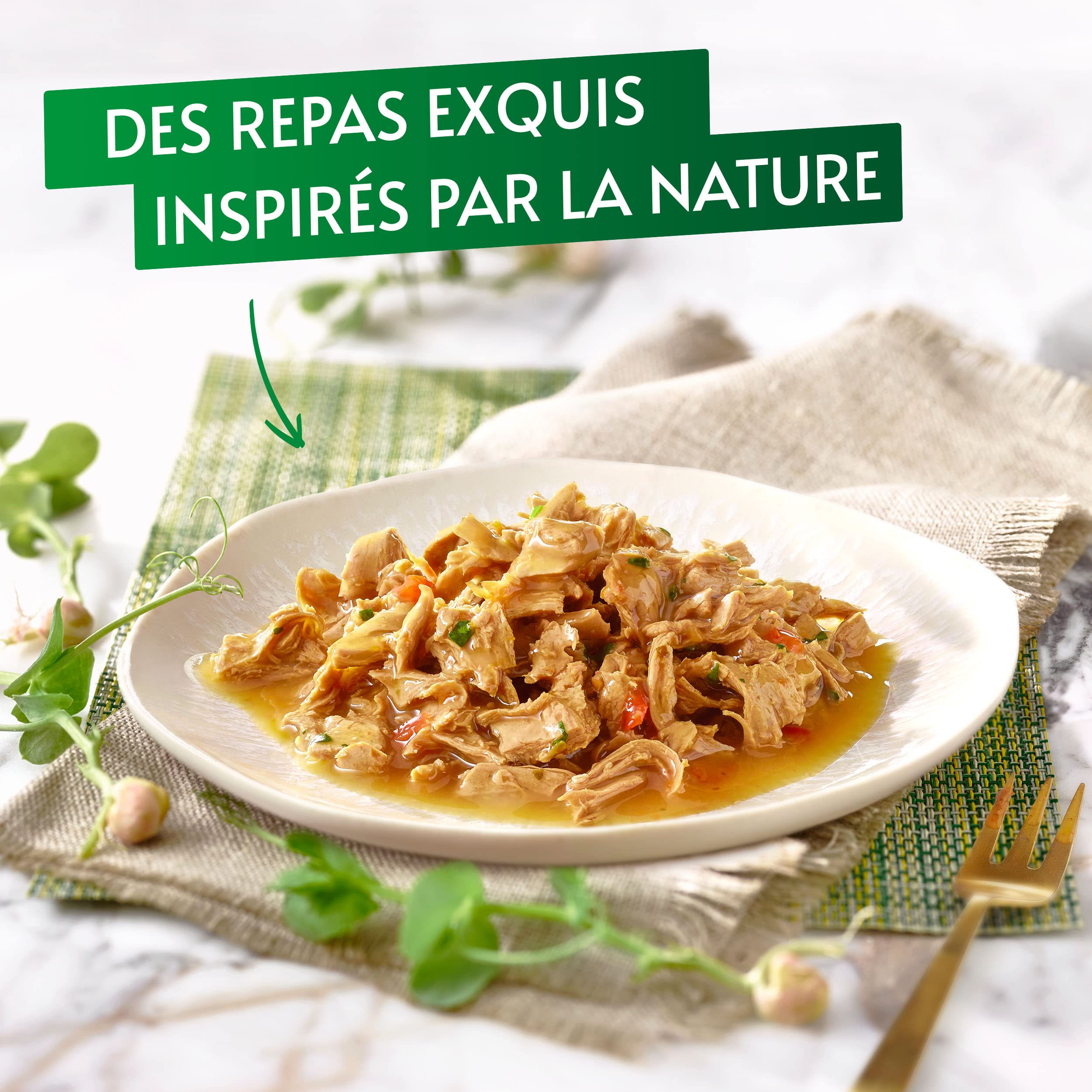 Purina Gourmet Nature's Creations Bœuf