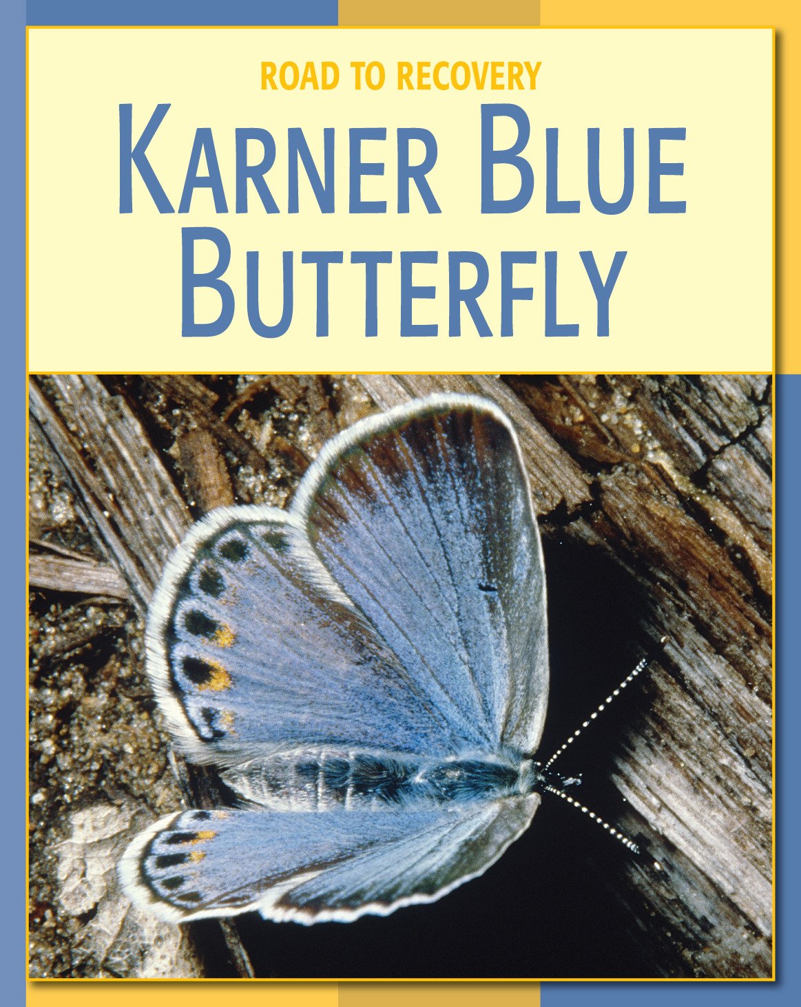 Karner Blue Butterfly (21st Century Skills Library: Road to Recovery)