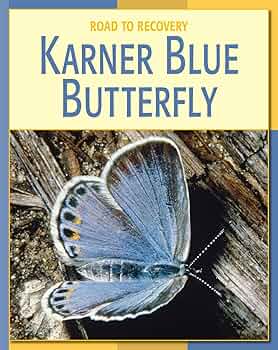 Amazon.co.jp: Karner Blue Butterfly (21st Century Skills