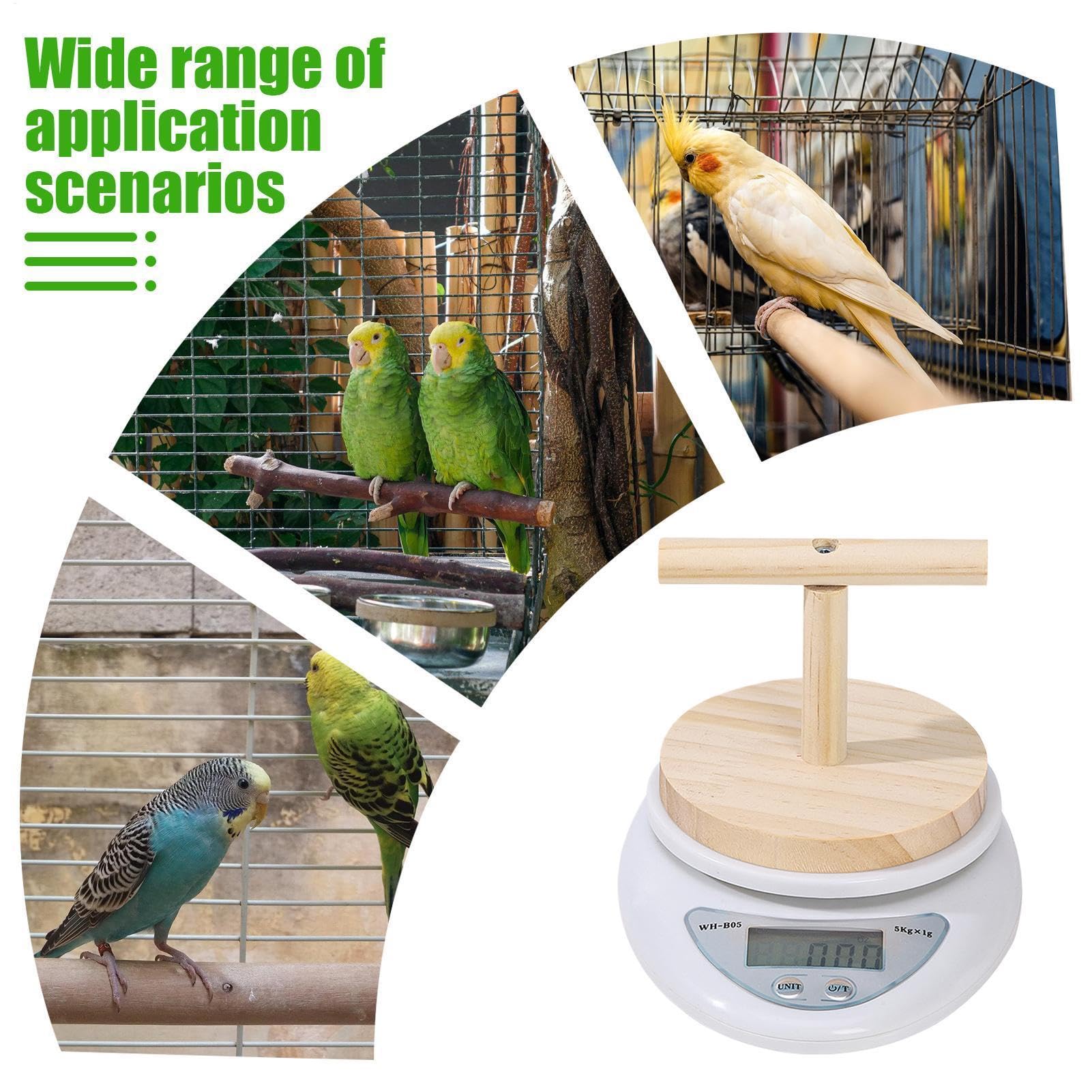 Vogelwaage mit Sitzstange | Papageientraining Tierwaage mit Sitzstange, digitales Wiegewerkzeug, Gewichtswechselüberwachung mit hoher Genauigkeit für präzises Füttern, Milchpulvermessung