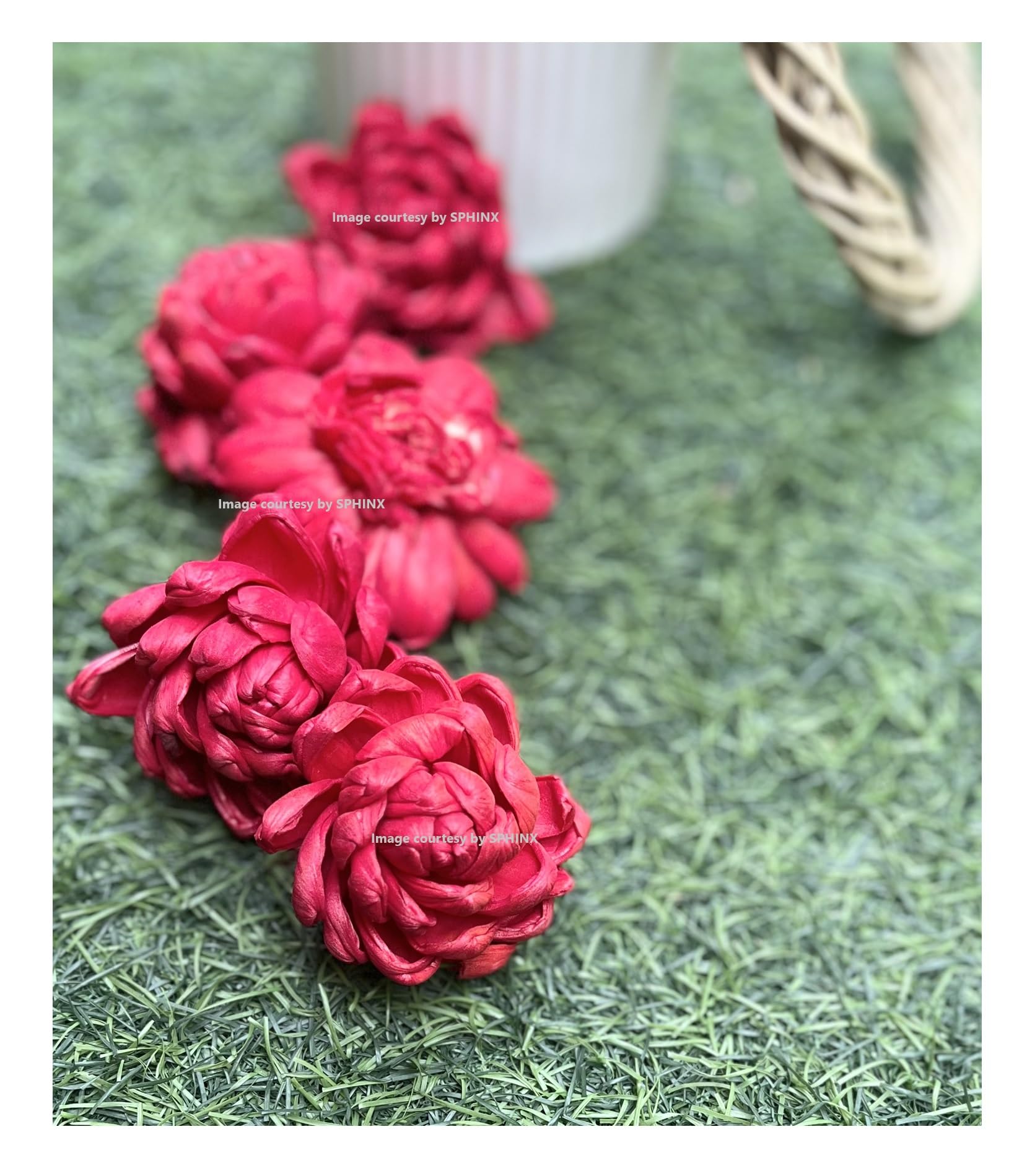 SPHINX Sola Bloomed Lotus Flowers for Decorations, Gift Packing, D-I-Y Art and Crafts, Garland Making Festive Decor Pooja Decor Table Decorations- (Red Approx 4 cms, 5 Pieces)