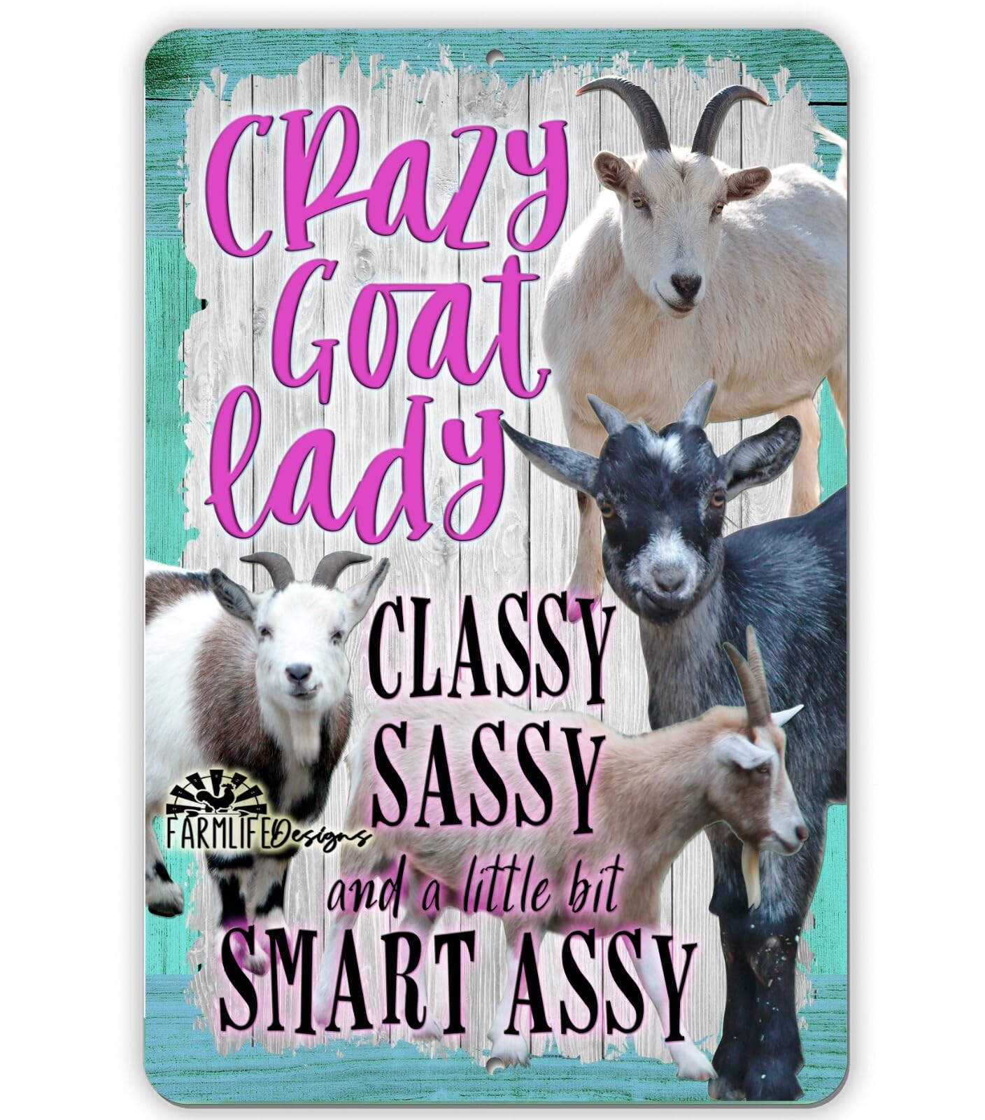 CRAZY GOAT LADY - classy, sassy, smart assy 8x12 aluminum sign handmade home decor
