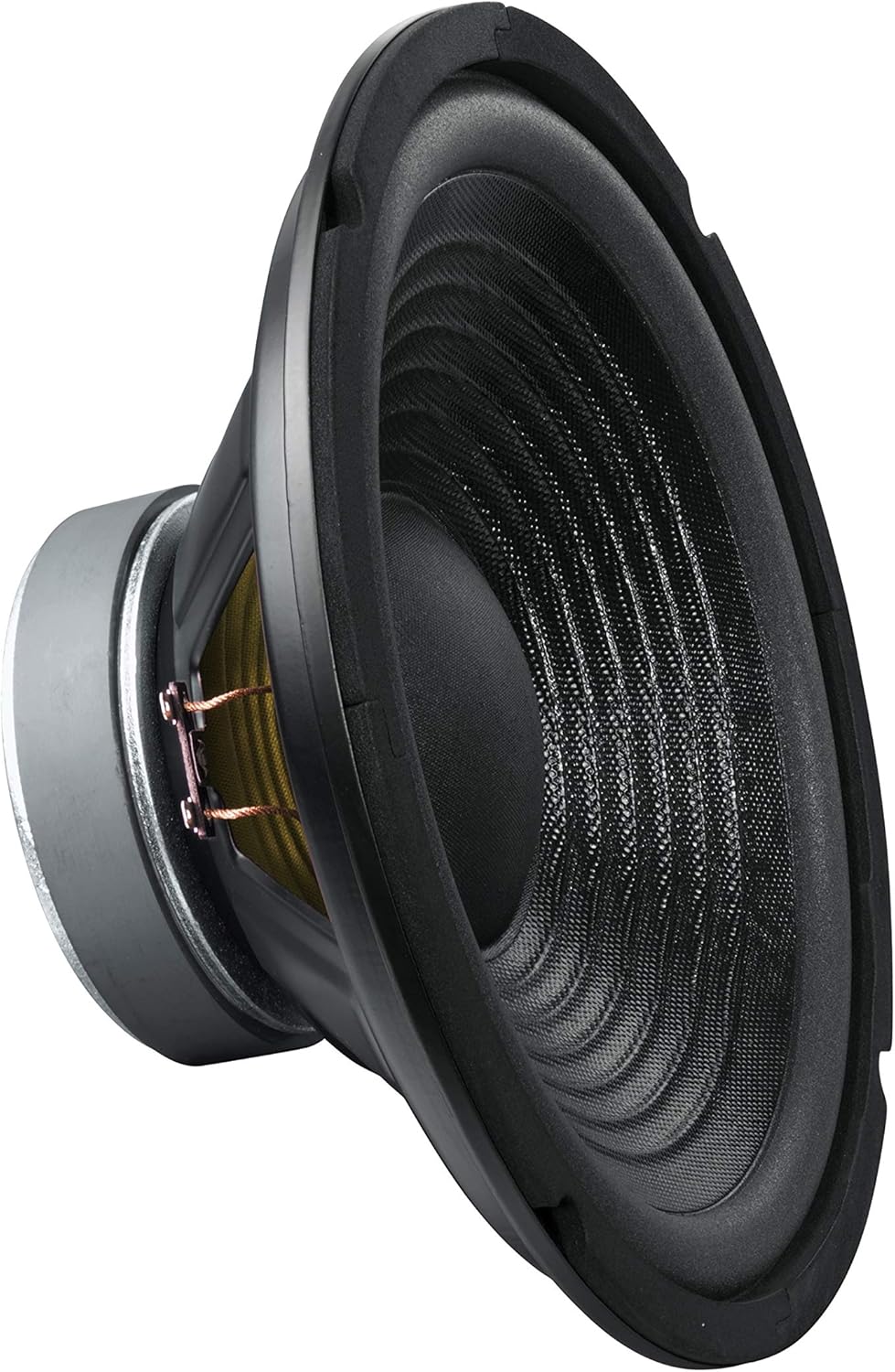 Subwoofer da 10 pollici per barca