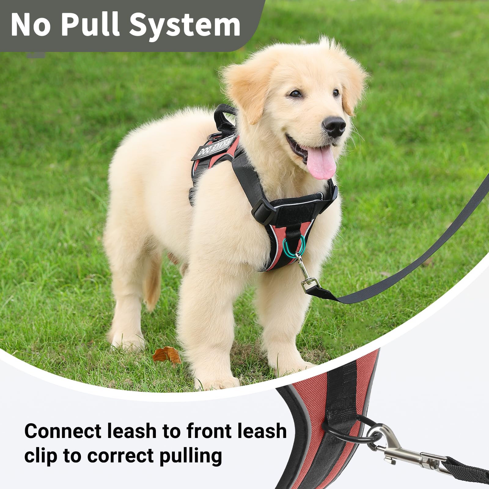 Belababy Dog Harness Small Medium Large - Image 4