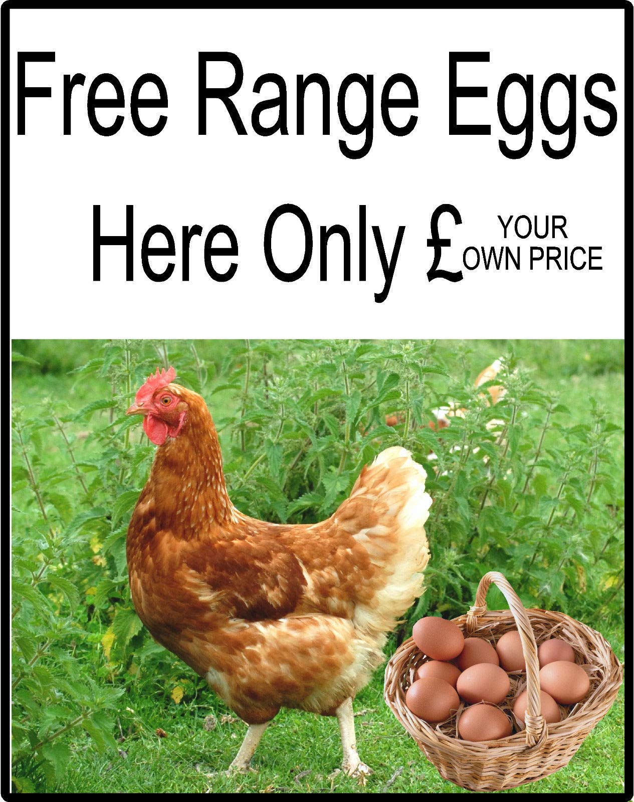 1st 4 Signs Free Range Chicken Eggs Sold/for Sale Here Sign (Aluminium, 560mm x 400mm)