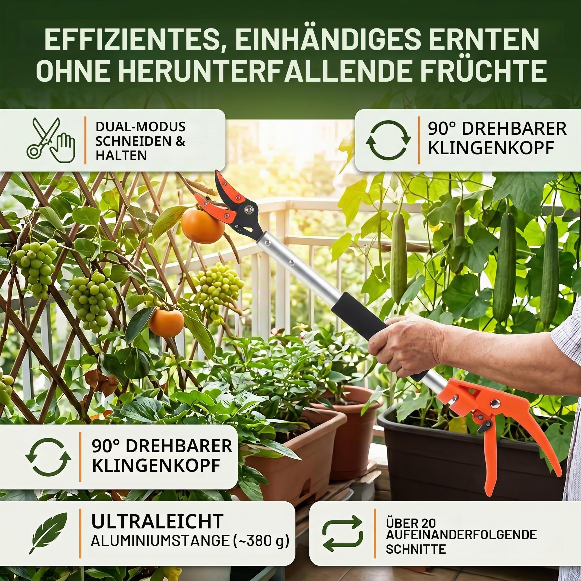 Obstpflücker-Scherenschneider mit Scharfen Klingen, Bypass-Gartenschere Zum Schneiden und Halten mit Großer Reichweite Zum Beschneiden und Pflücken von Früchten