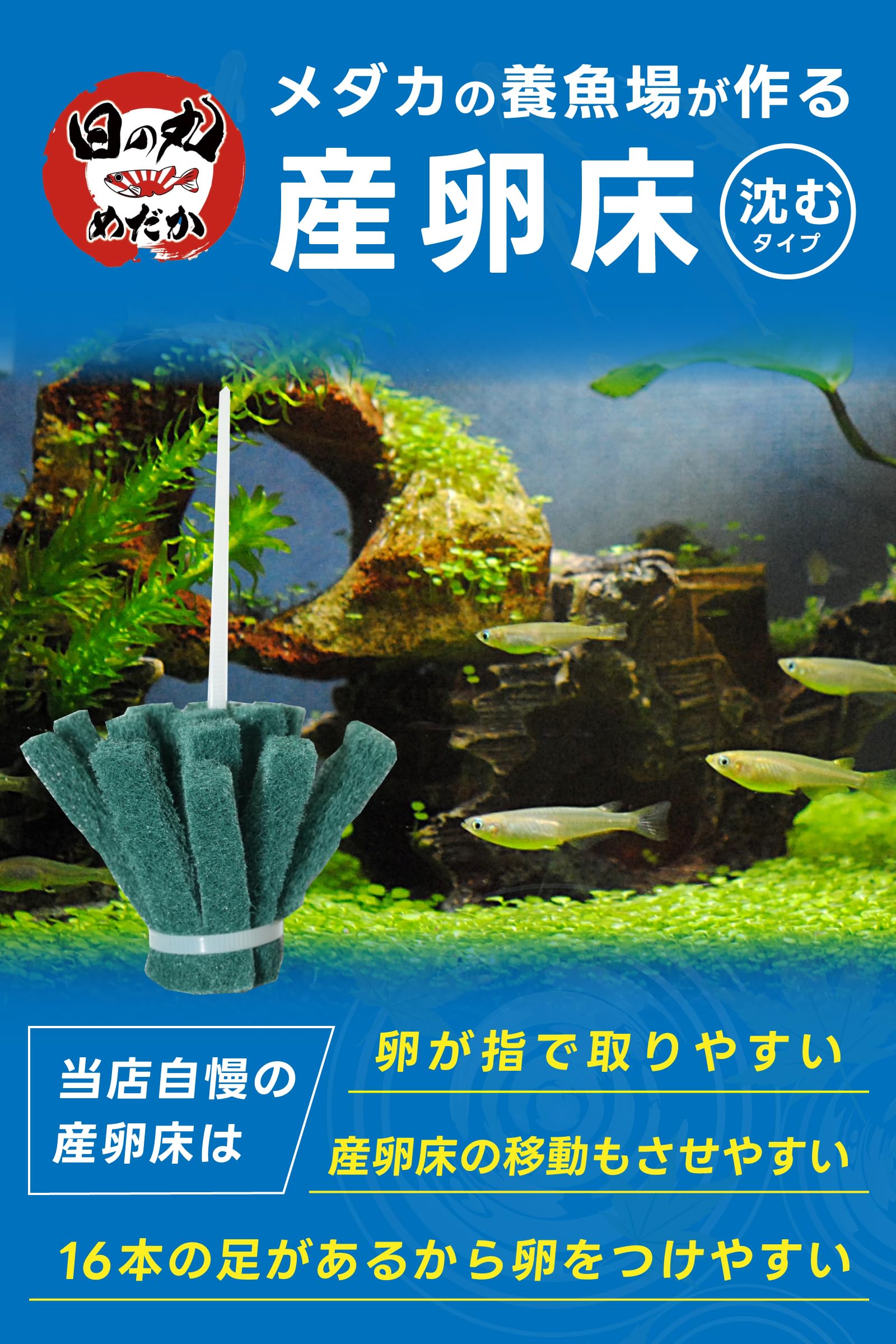 Amazon | 産卵床 メダカ 【日の丸めだか】 沈むタイプ 8個セット