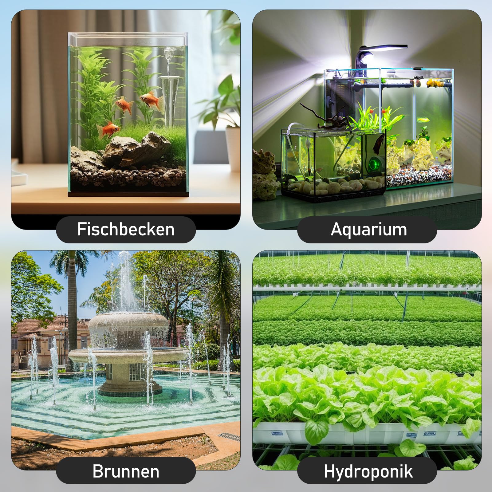 Wasserpumpe 12V 800L/H 5M, Wasserpumpe Klein mit 5 Gang-Drehzahlregelung, Tauchpumpe Aquarium Pumpe mit 2 M Kabel für Aquariumpumpe, Teichpumpe, Springbrunnenpumpe, Wasserspielpumpe