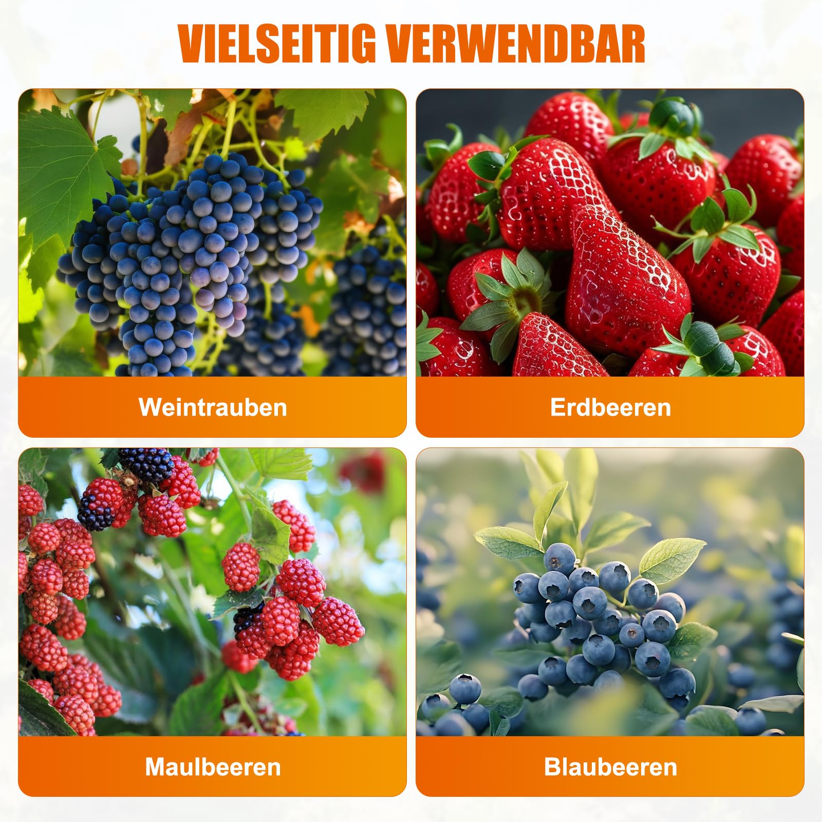 Prensa de vino de frutas 3T 304 de acero inoxidable, prensa hidráulica de vino de 12 l, de acero inoxidable, con cubo de filtro interior, bandeja sanitaria, 1 gato hidráulico y 1 soporte