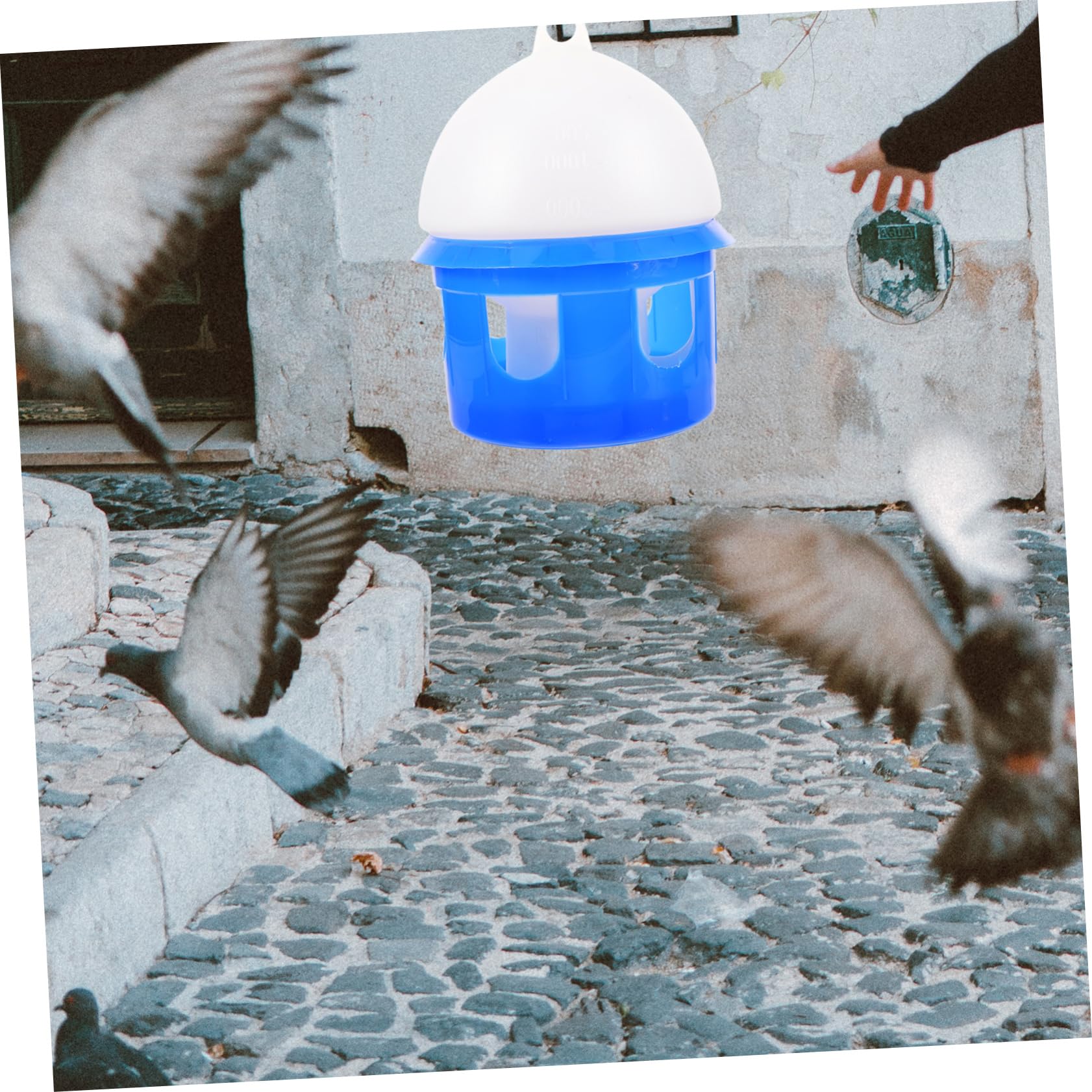 Bebedero Automático para Dispensador De Agua para Pájaros Comedero para para Jardín o Terraza