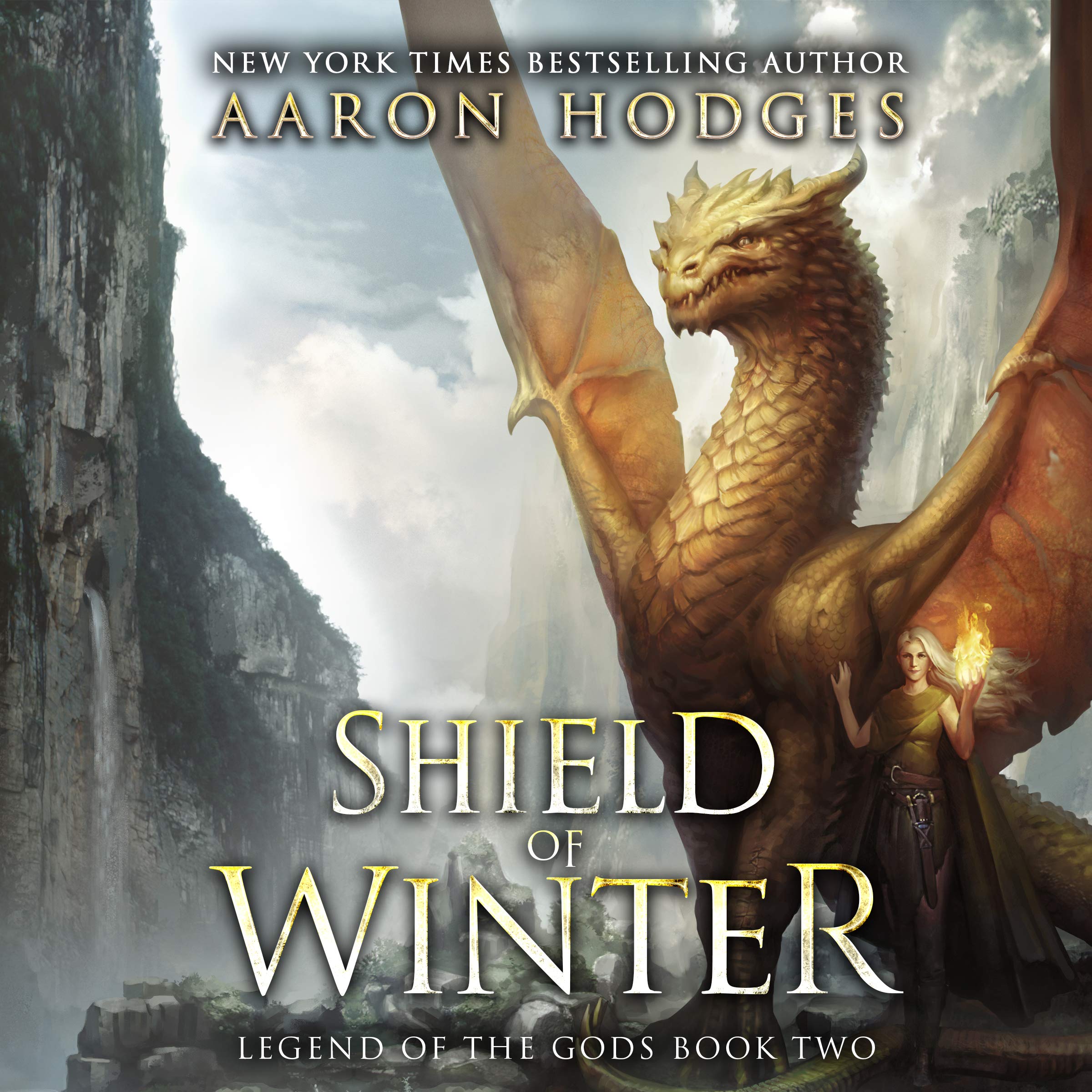 Cover art for Shield of Winter