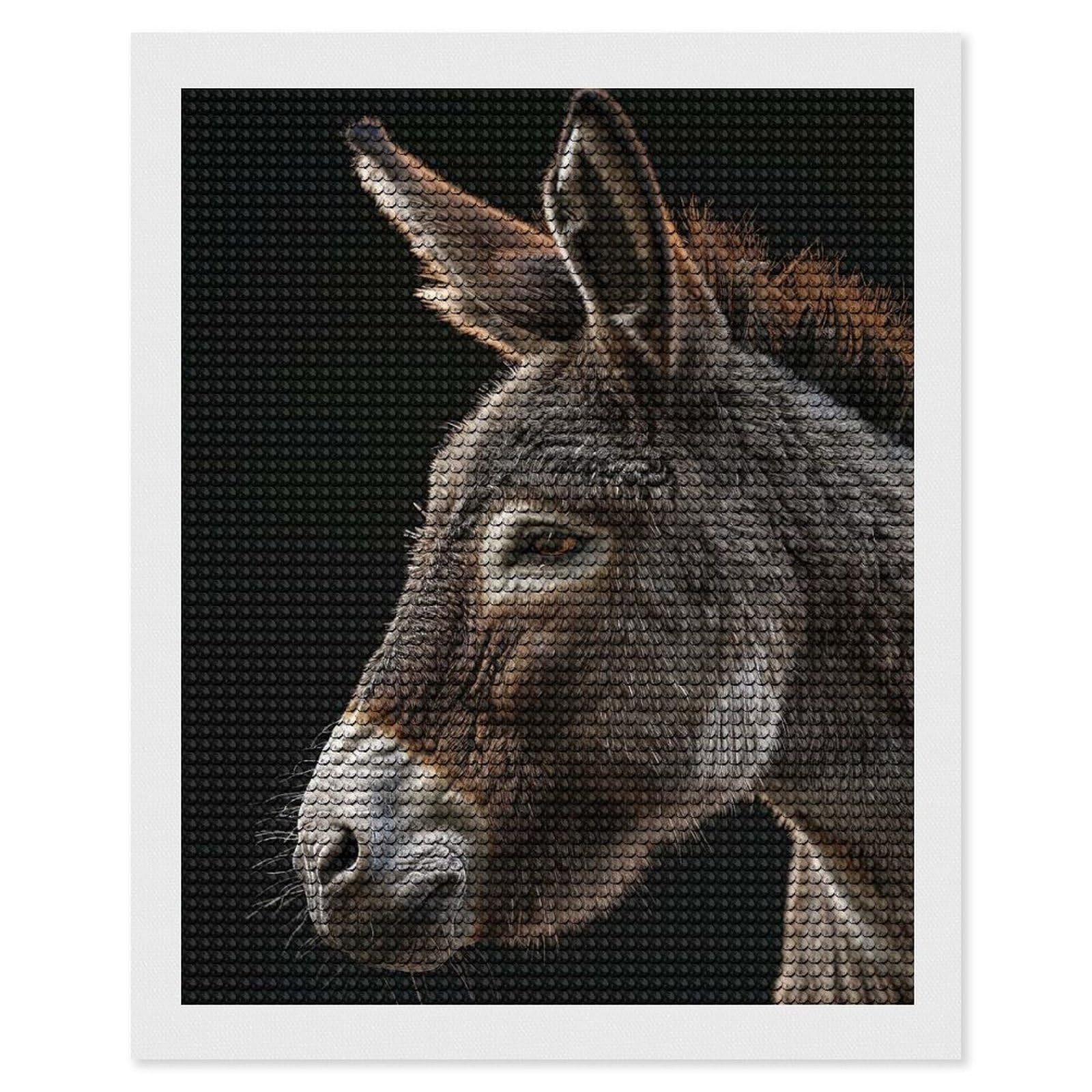 Junmoney Donkey Diamond Painting Set 16"x20", Full Kit Included, Sparkling Round Gems, Farmhouse Decor, Festive Craft Gift
