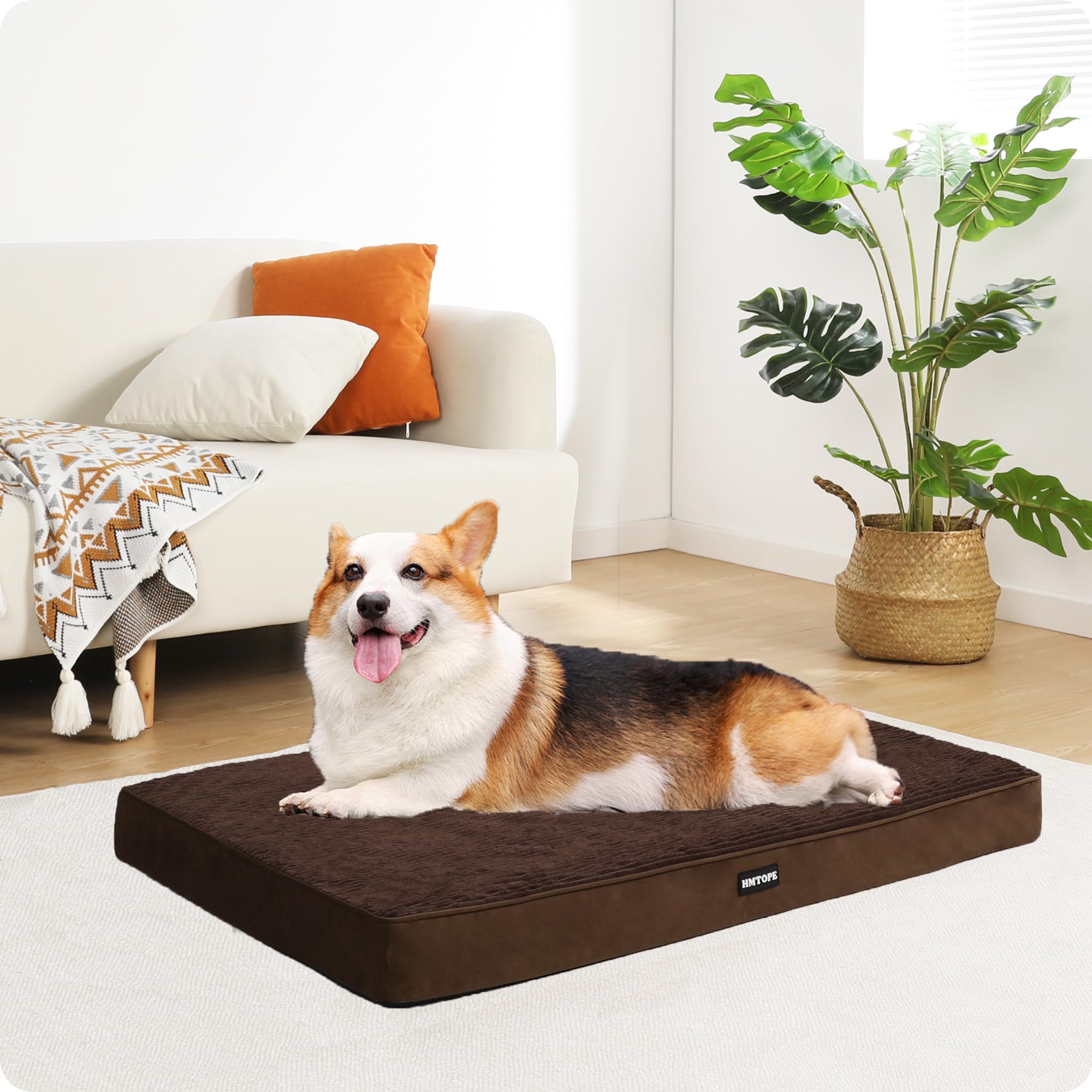 HMTOPE Lit orthopédique pour chien - Coussin pour chien de taille moyenne de 9 cm d'épaisseur - Amovible et lavable - Dessous antidérapant - Doublure imperméable - 91 cm - Marron