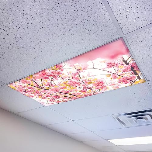 Miniatura 12 de Cubierta magnética para luz fluorescente de techo para aulas 2x4 - Filtro de luz de oficina magnético de alta resolución (paquete de 1) - Mejora