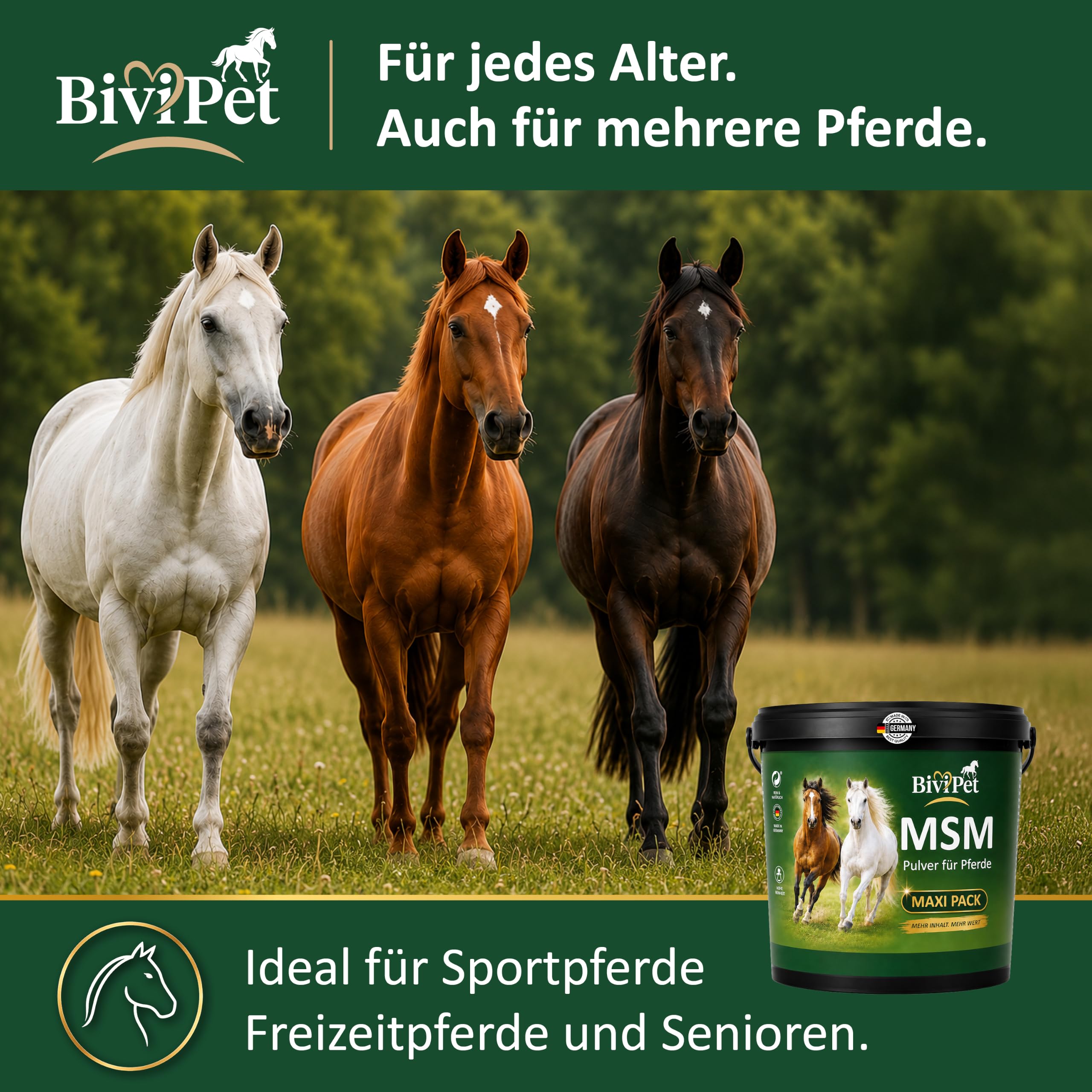 MSM Pulver für Pferde – 3 kg Maxi Pack | 100% reines MSM ohne Zusätze | Für Gelenke, Beweglichkeit, Sehnen & Hufe | Mehr Inhalt & Wert | Eimer mit Dosierlöffel | Made in Germany
