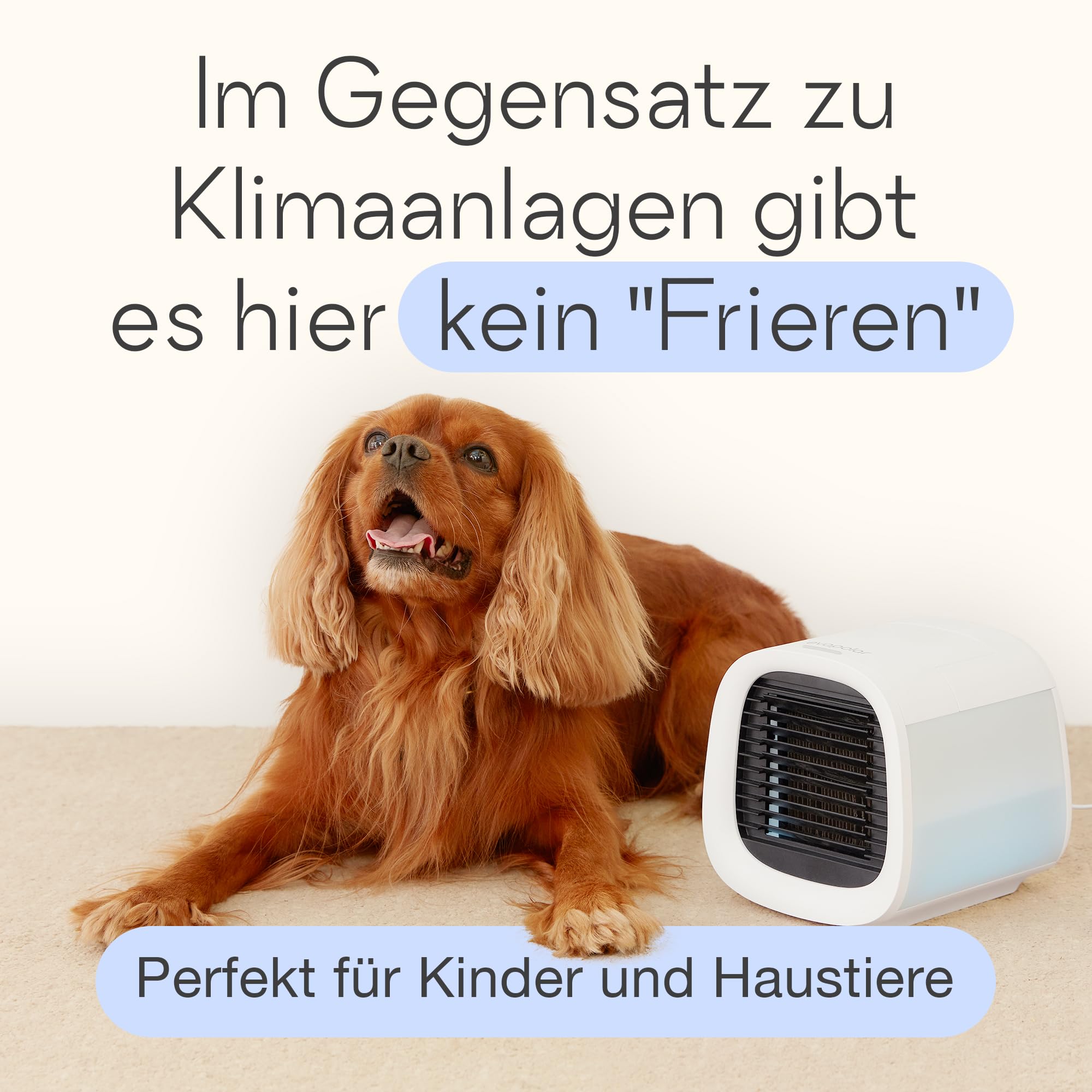 Evapolar evaCHILL Luftkühler & Luftbefeuchter - Leise & tragbar – Kühler für Heim, Büro, Camping, auf Reisen – USB-Anschluss für einfaches Verbinden & integriertes LED-Nachtlicht - grau