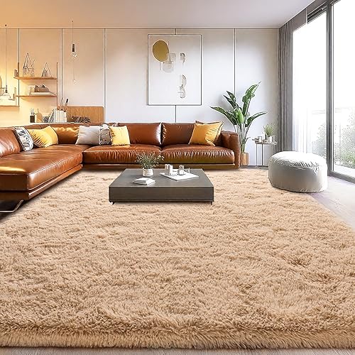 Area Rugs for Living Room, Soft Shaggy Carpets for Living