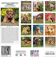 Vista 148 de Razas de Perros 2017