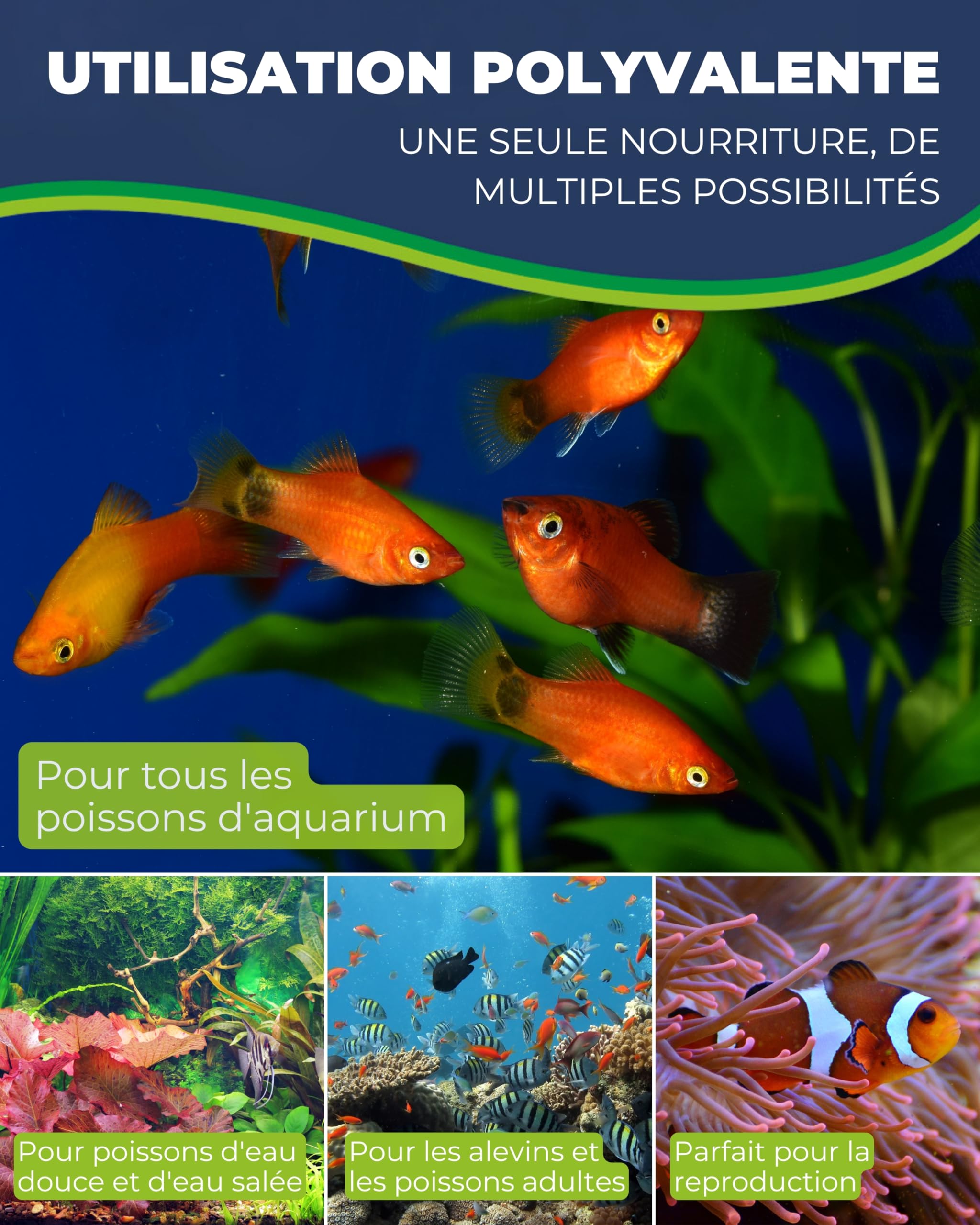 Hobby Aquaristik Artemia Baby Liquid | 125 ML | Concentré Liquide de zooplancton idéal pour l’élevage des Jeunes Poissons | Nourriture pour Poissons d’Aquarium | pour Eau Douce et Eau de mer