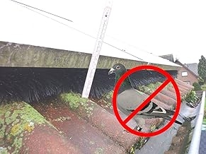 14,4m Solaranlage Schutzbürste 19cm Ø Photovoltaik Solarpanel Solarmodul Schutz vor Vögel Tauben Nager Marder Abwehr