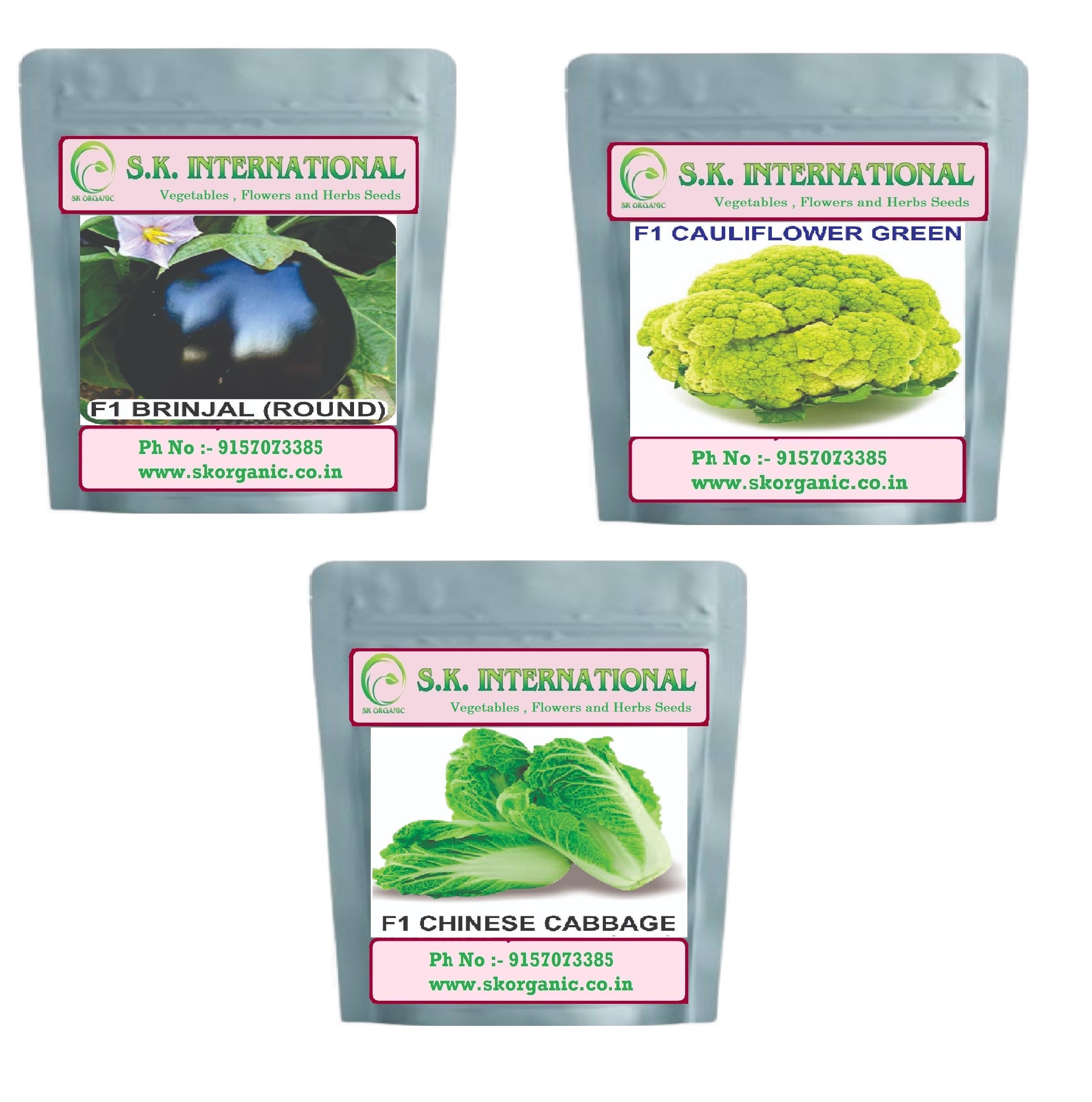 Vegetable Seeds F1 Hybrid for Kitchen Garden, Farmhouse and Farm, Grow Fresh Veggies Daily (Brijal Round-Cauliflower Greenn -chinese cabbage) (B0D9WC5VKX) Amazon Price History, Amazon Price Tracker