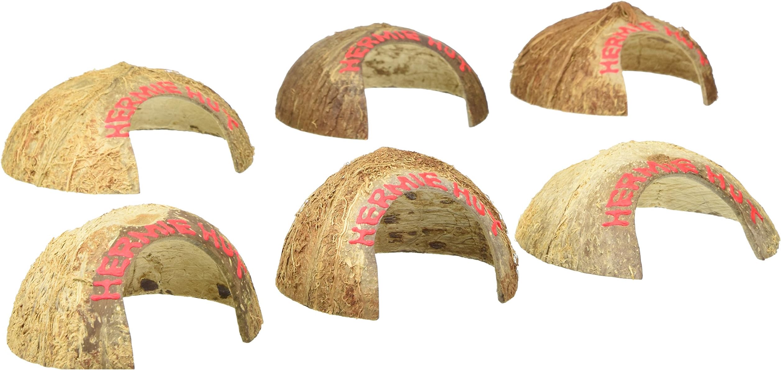 Florida Marine Research SFM20200 6-Pack Coconut Hermit Crab Hideaway
