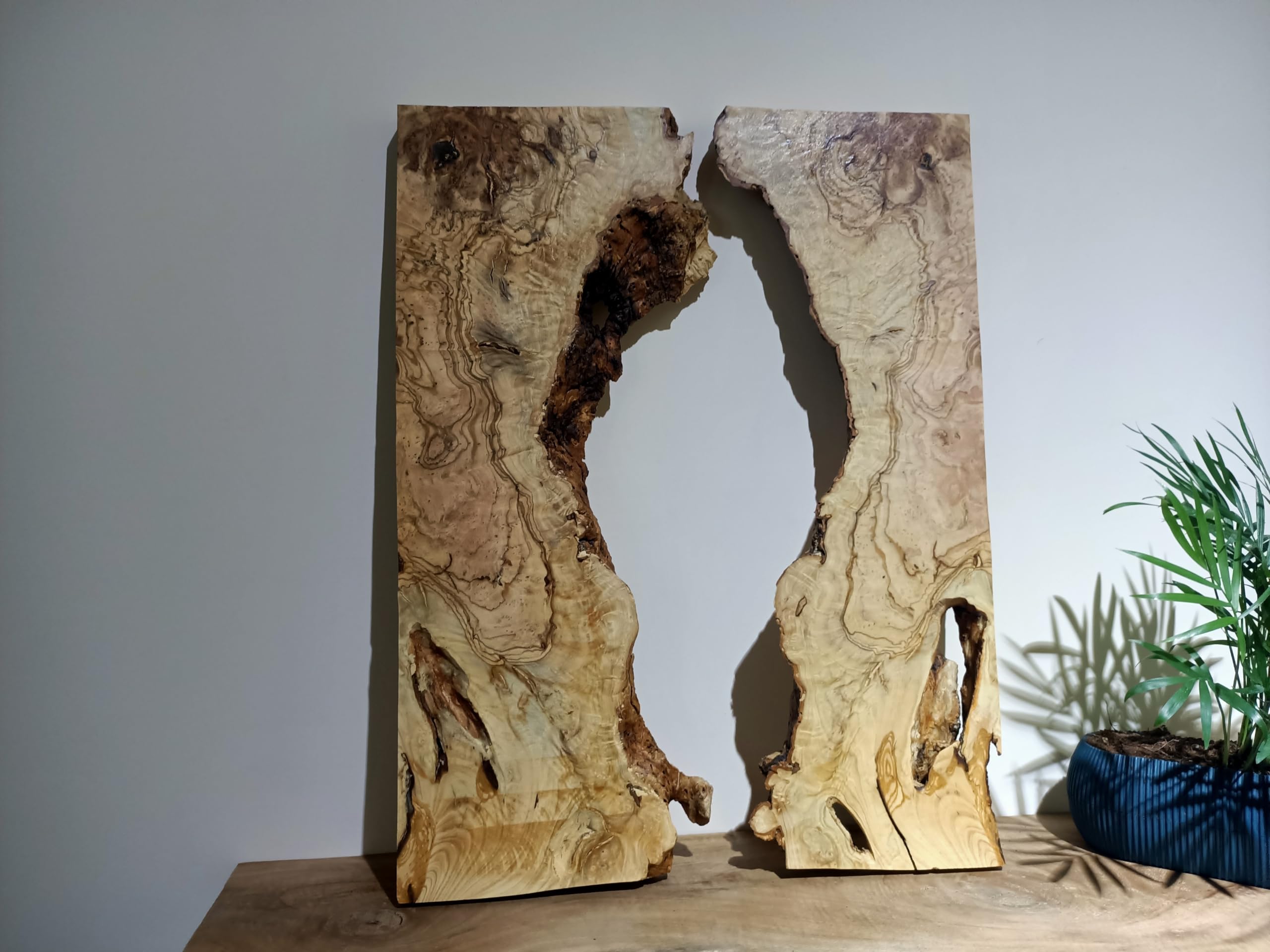Live Edge Olivenholzplatte für Heimwerker und Epoxy-Flusstisch, fertig zum Harztisch, gerodete Holzplatte für Epoxidharz-Holz, Wurzelholz I von skilled hands (2), WS02