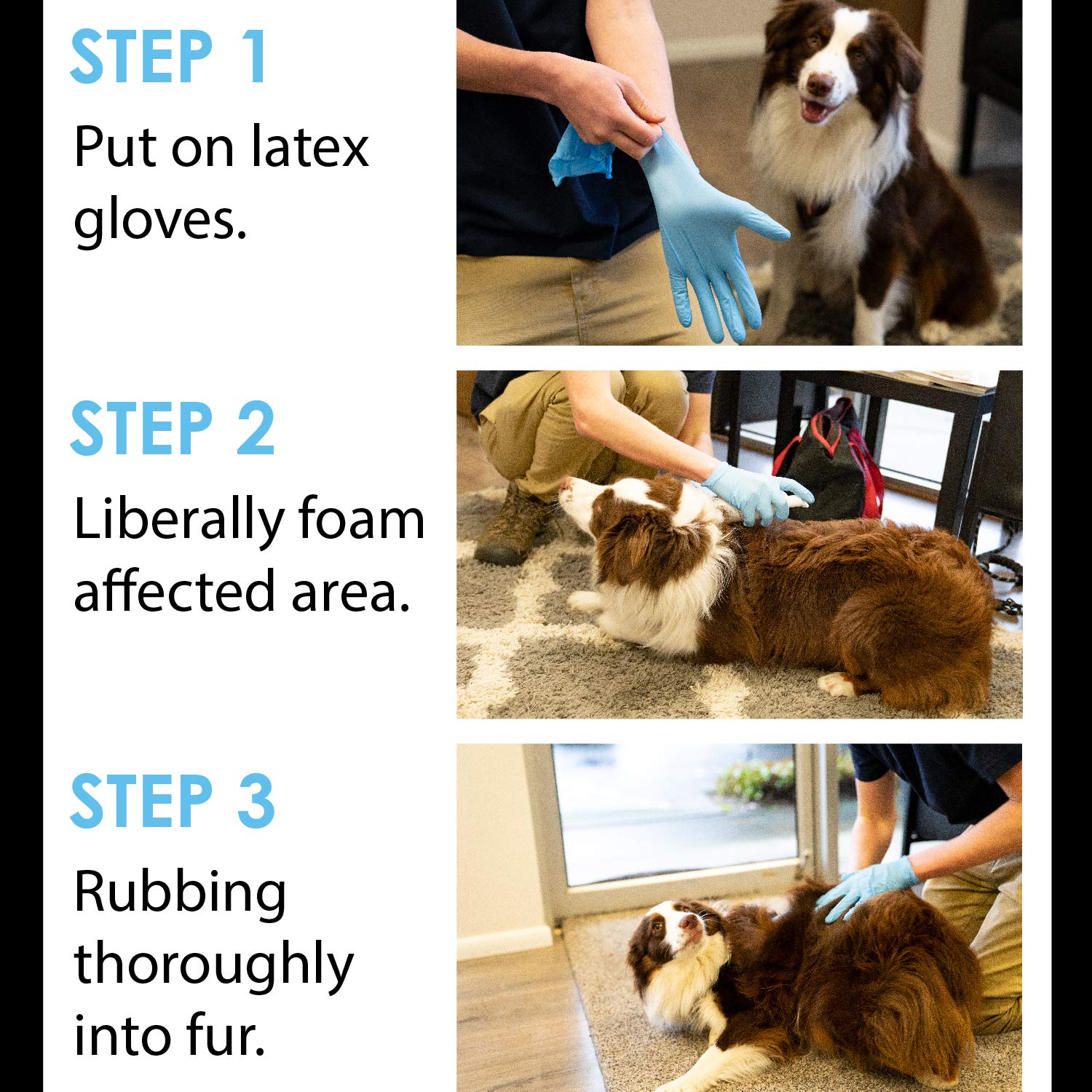 How Do I Get Skunk Smell Off My Dogs Face