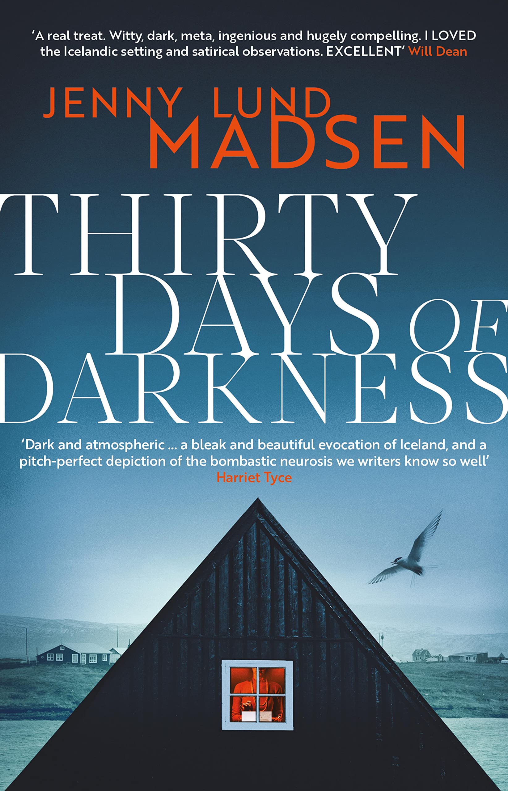 Thirty Days of Darkness: This year's most chilling, twisty, darkly funny DEBUT thriller… (English Edition)