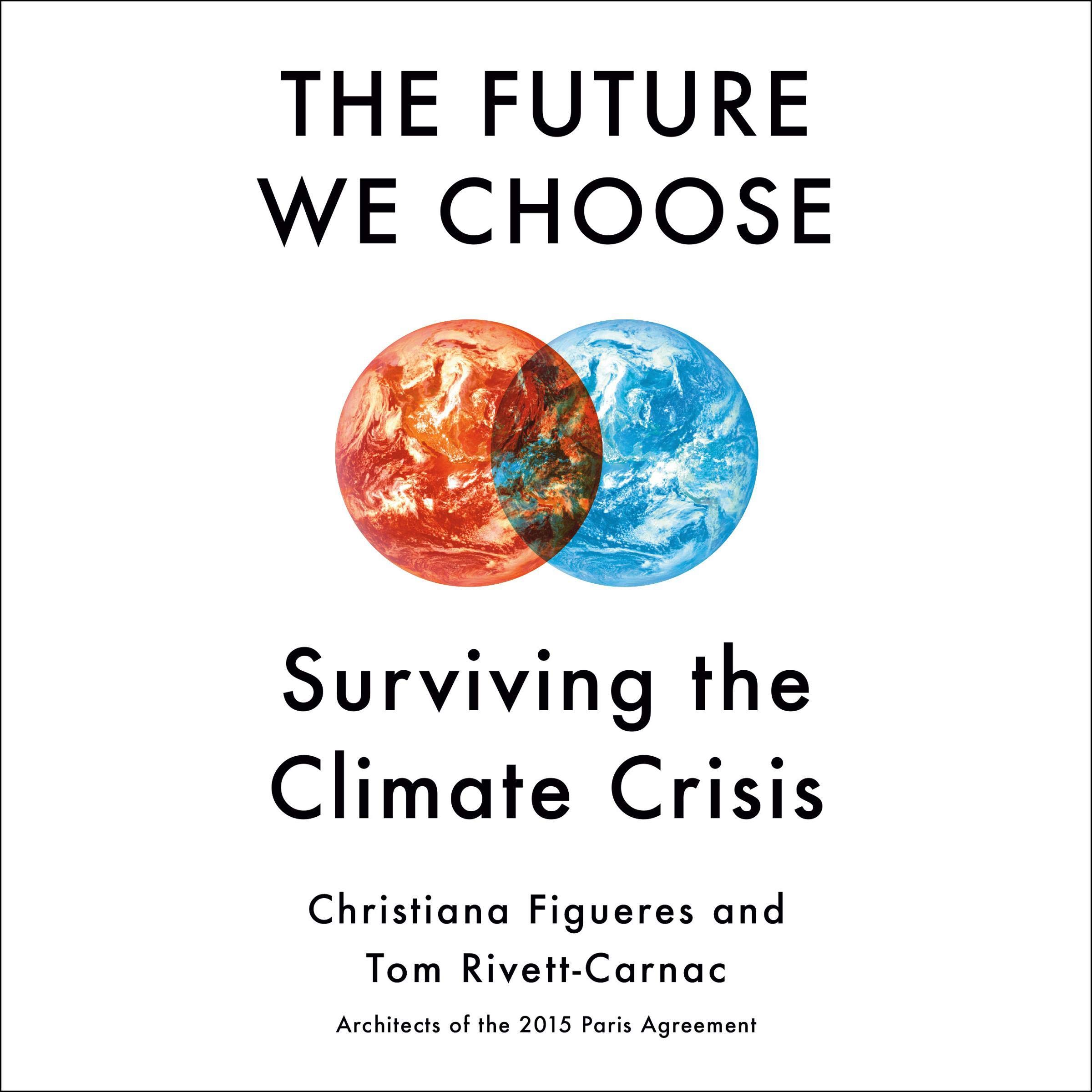 Cover art for The Future We Choose