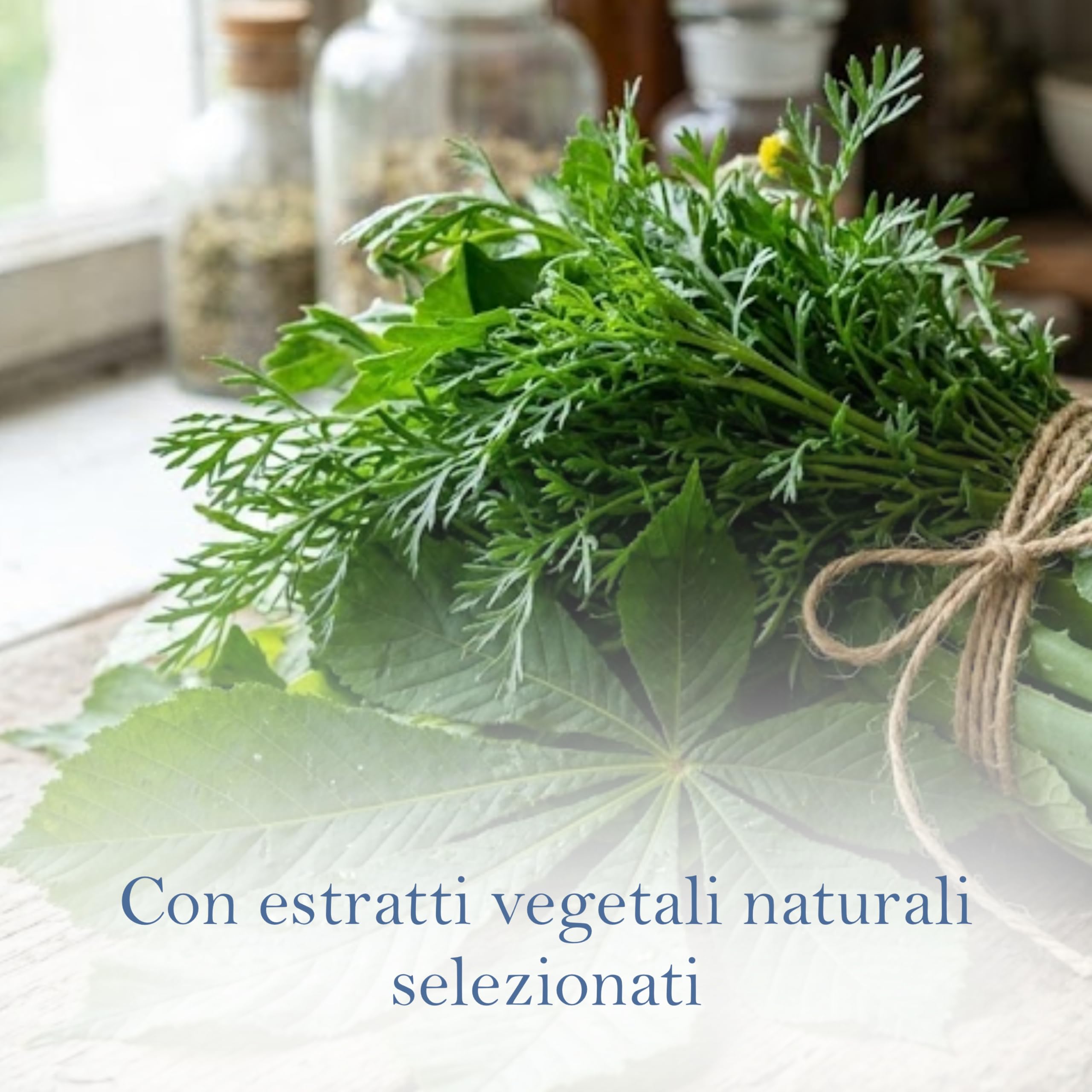 Venicalm Crema Rinfrescante e Lenitiva Gambe 100 ml – con Ippocastano, Centella Asiatica e Camomilla – Sensazione di Sollievo e Freschezza Quotidiana