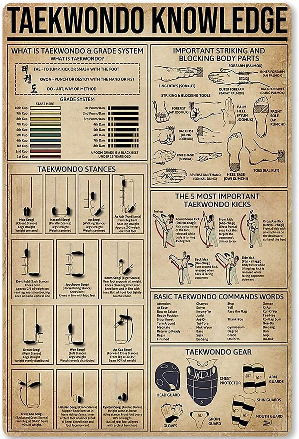rayprint Vintage Taekwondo Knowledge Metal Tin Sign Poster Wall Decor Gift For Garden Men Cave Garage Classroom Library Living Room School 8x12 Inch