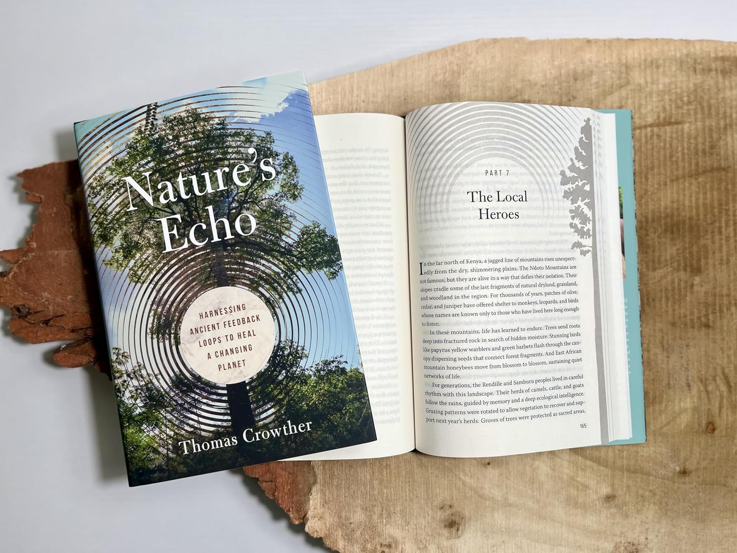 Nature's Echo: Harnessing Ancient Feedback Loops to Heal a Changing Planet