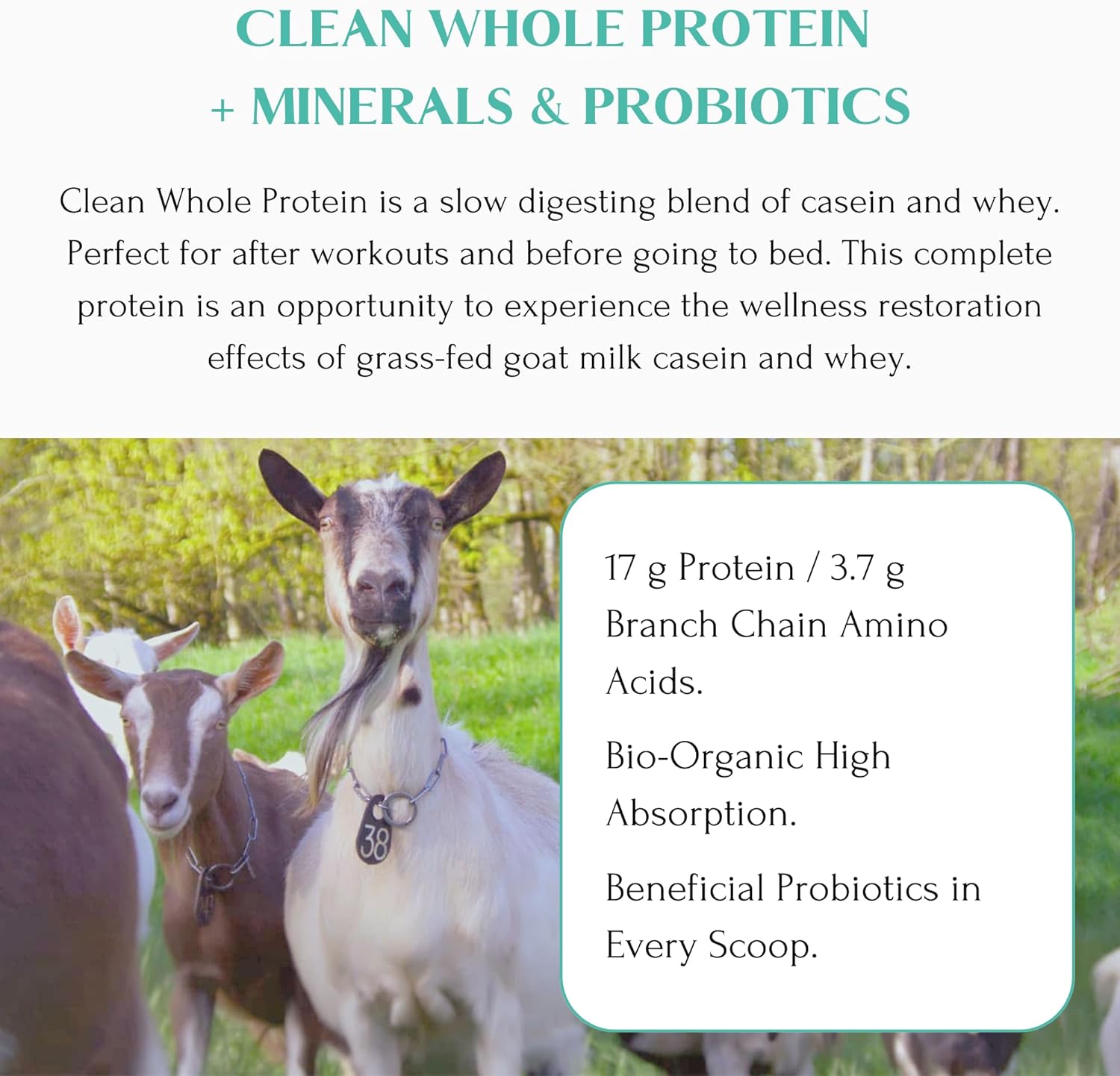 Mt. Capra Clean Whole Protein + Minerals & Probiotics | Grass-Fed Goat Milk Protein, Contains Casein and Whey Protein, No Sweeteners, No Flavors | 17 g Protein per Serving | 13 Servings - 14.1 oz