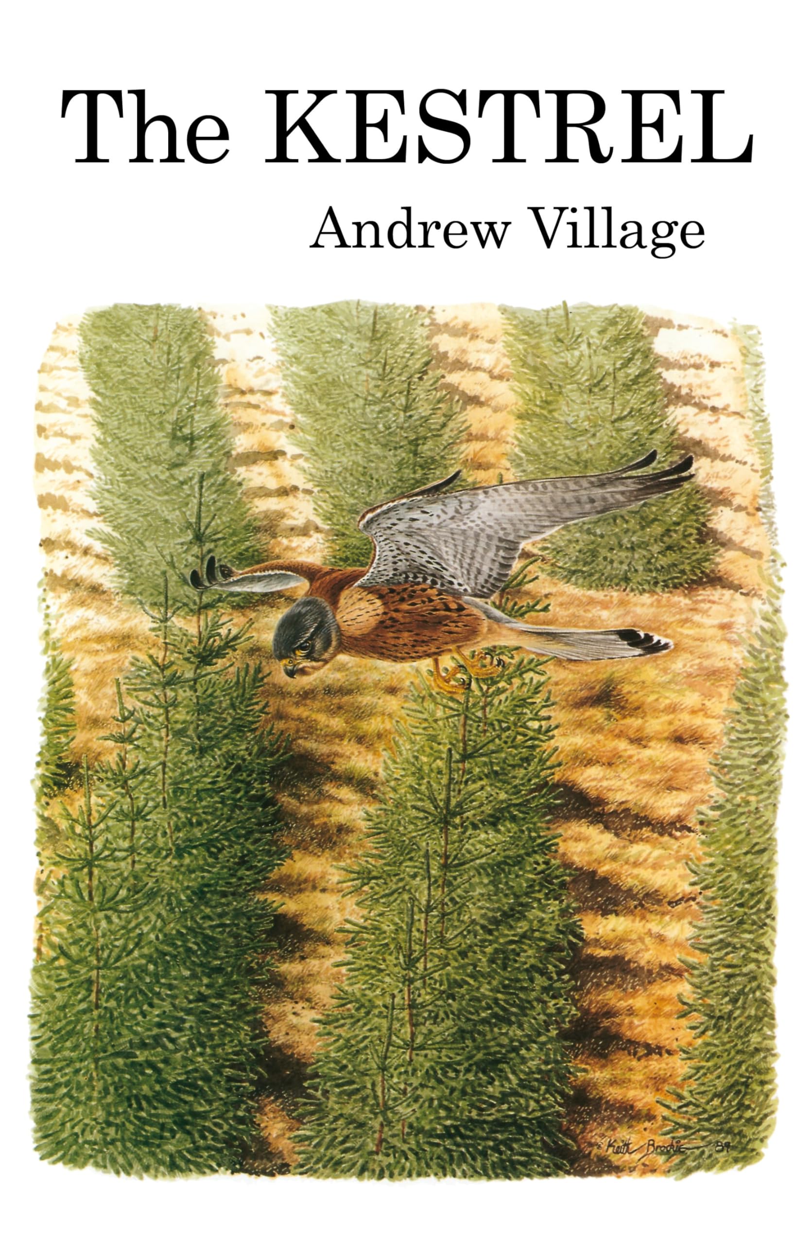 Buy The Kestrel — BookShops.in