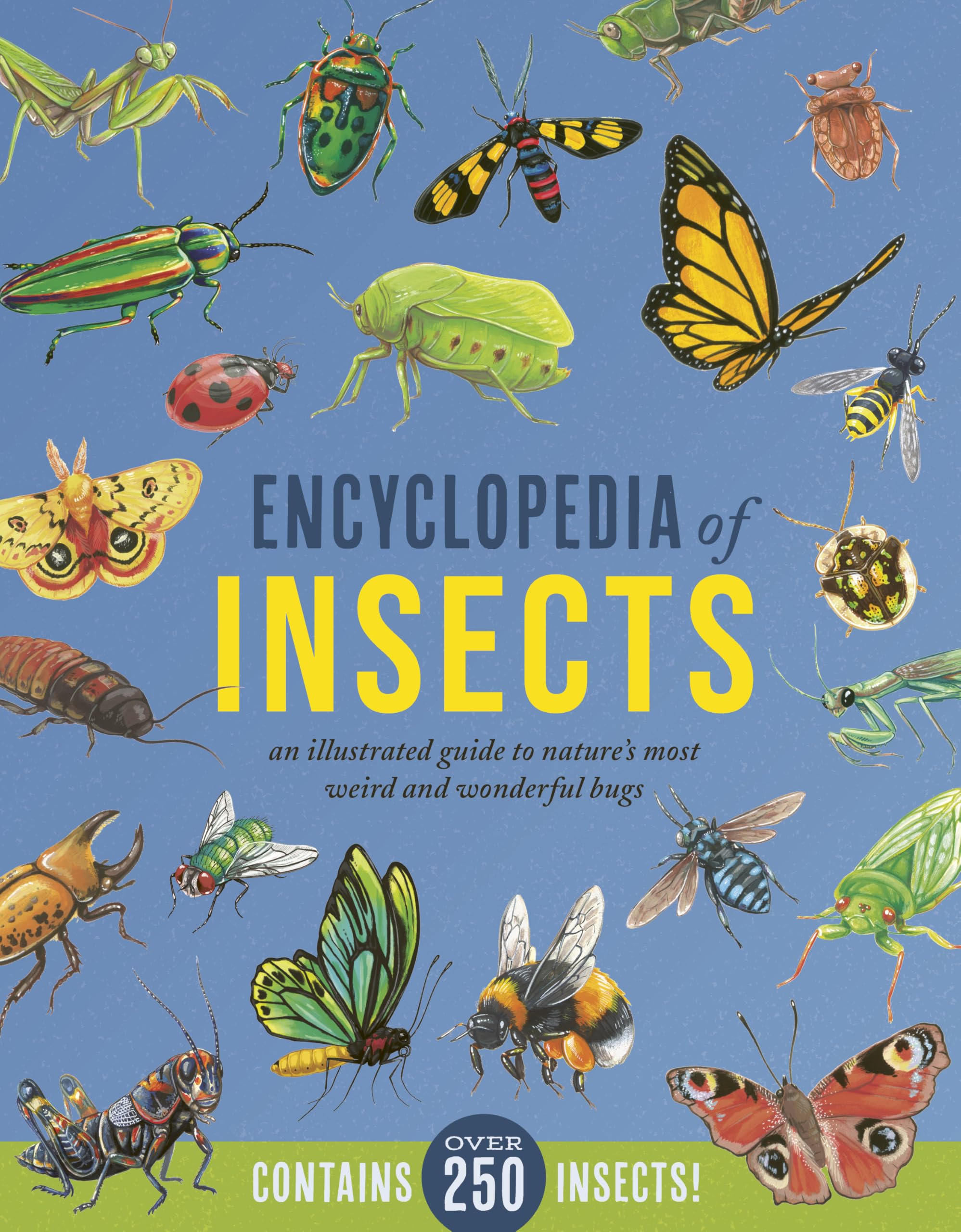 洋書 Encyclopedia of insects, animals 81-OAcjsR2L.jpg
