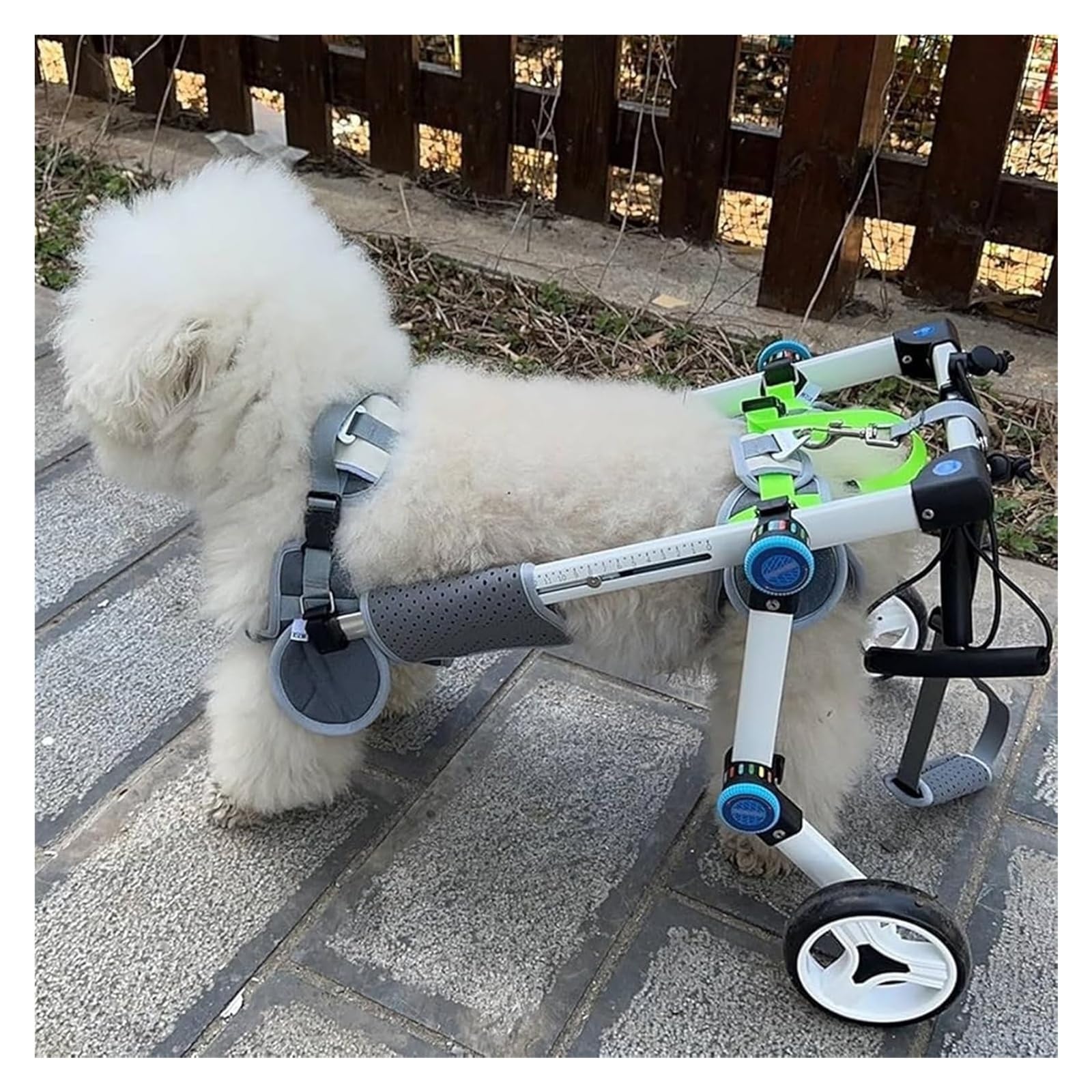 Fauteuil roulant pour chien handicapé S réglable pour retrouver la mobilité