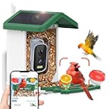 Bird Feeder with Camera,Smart AI Feeder with Solar-Powered Camera – Auto Identifier, Live View, Instant Visit Alerts, HD Video Capture for Bird Watching Enthusiasts (Weatherproof) 2.4GHz WiFi- Green