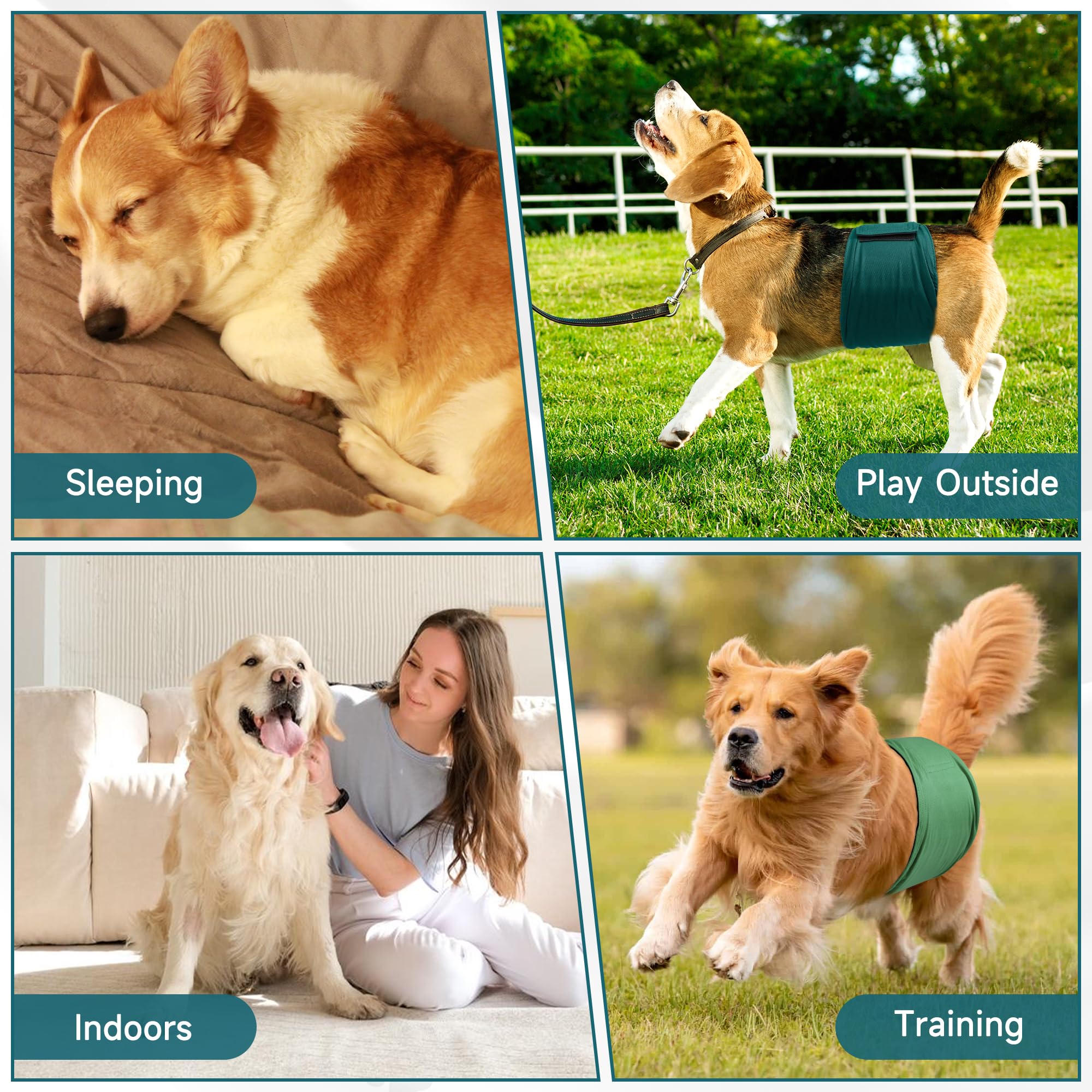 Confezione da 5 pannolini per cani maschi, ad alto assorbimento, fasce per la pancia per cani maschi con incontinenza o minzione frequente, pannolini lavabili per cani verdi XXL