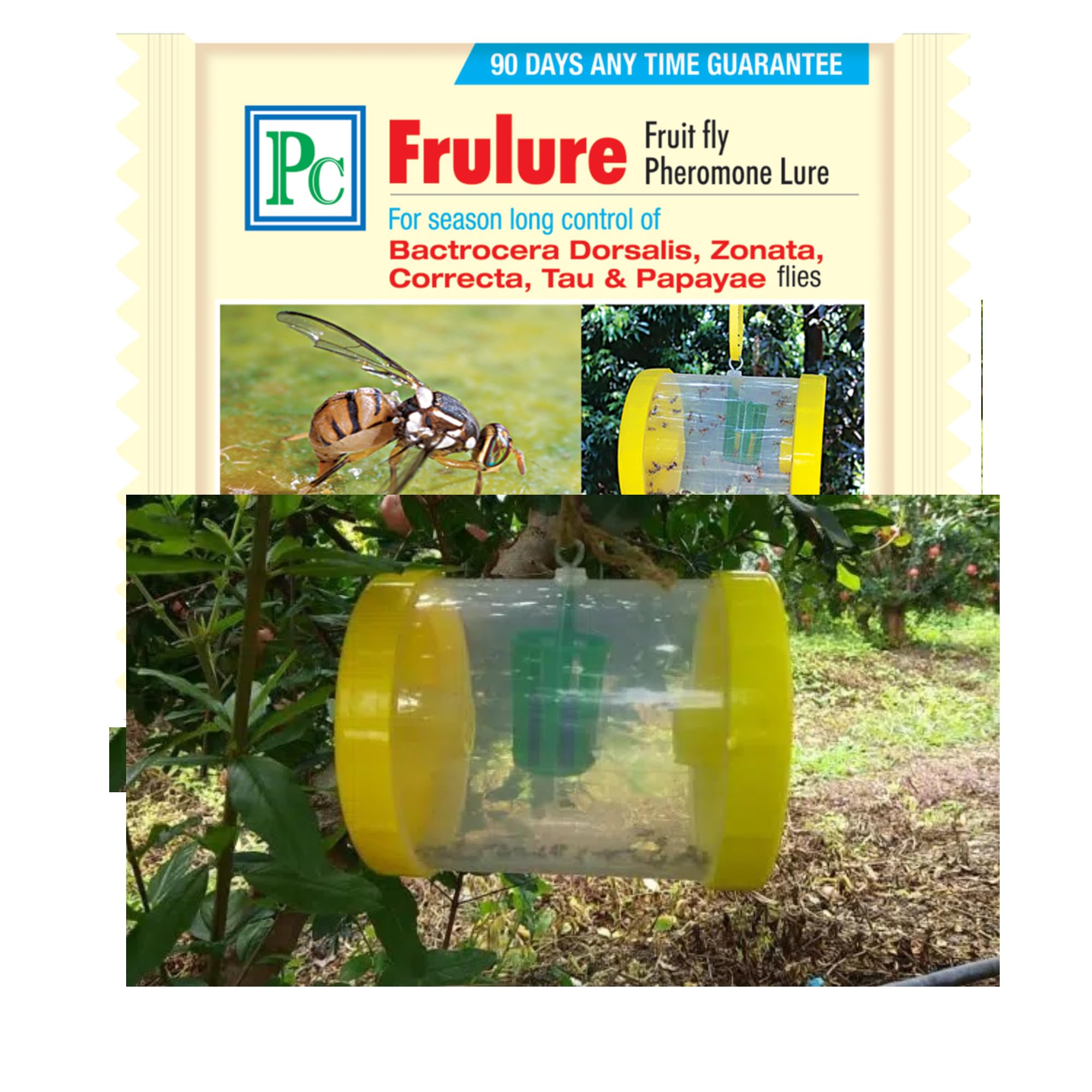 Fruit Fly Trap with Frulure-20pack Recommended for Fruits,Cashew, Mango, Plum, Pear, Papaya, Almond, Avocado, Apple, Guava, Carambola, Star Fruit, Peach, Orange, Lemon, Grapefruit, Sweet Orange etc.-image-49