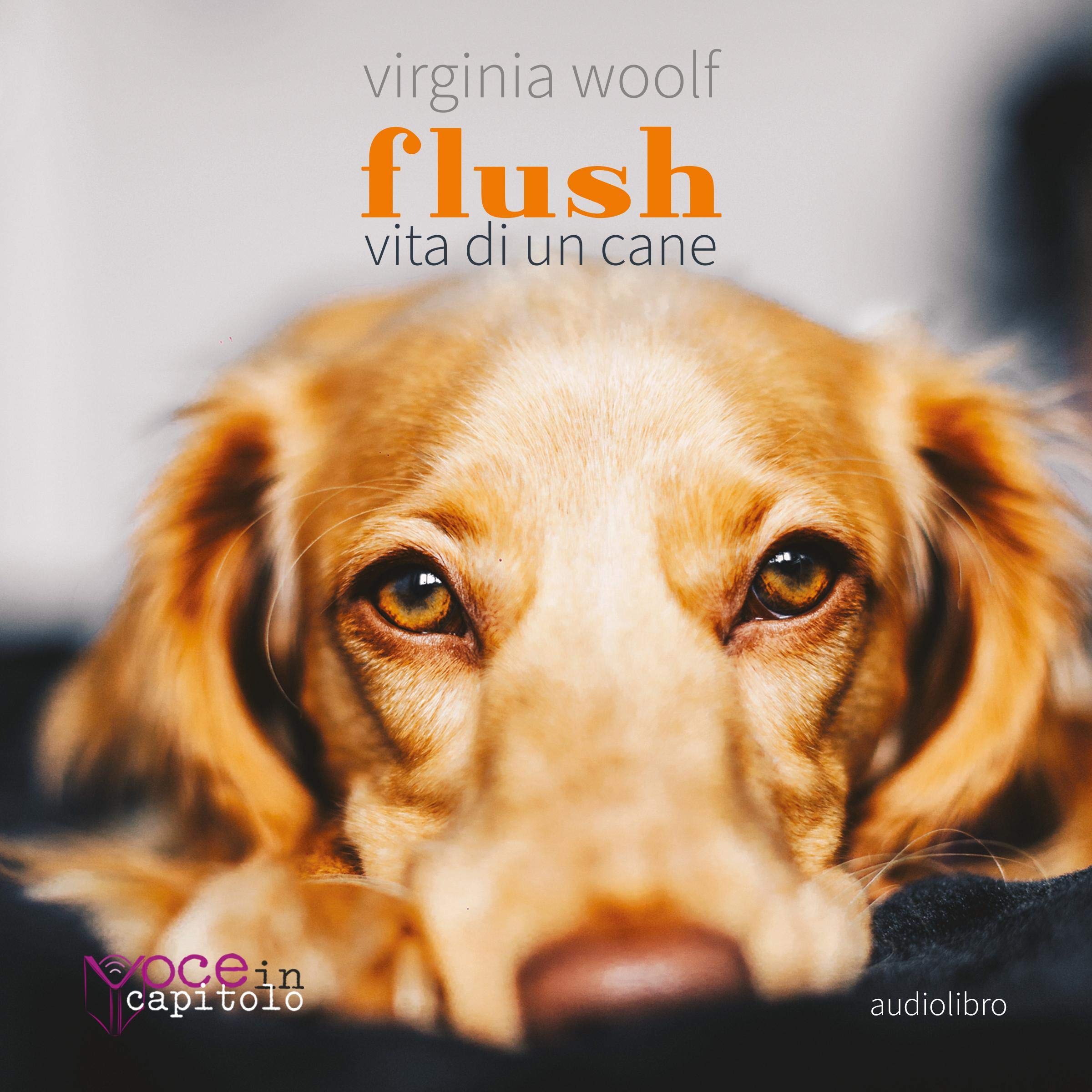 Flush: Vita di un cane