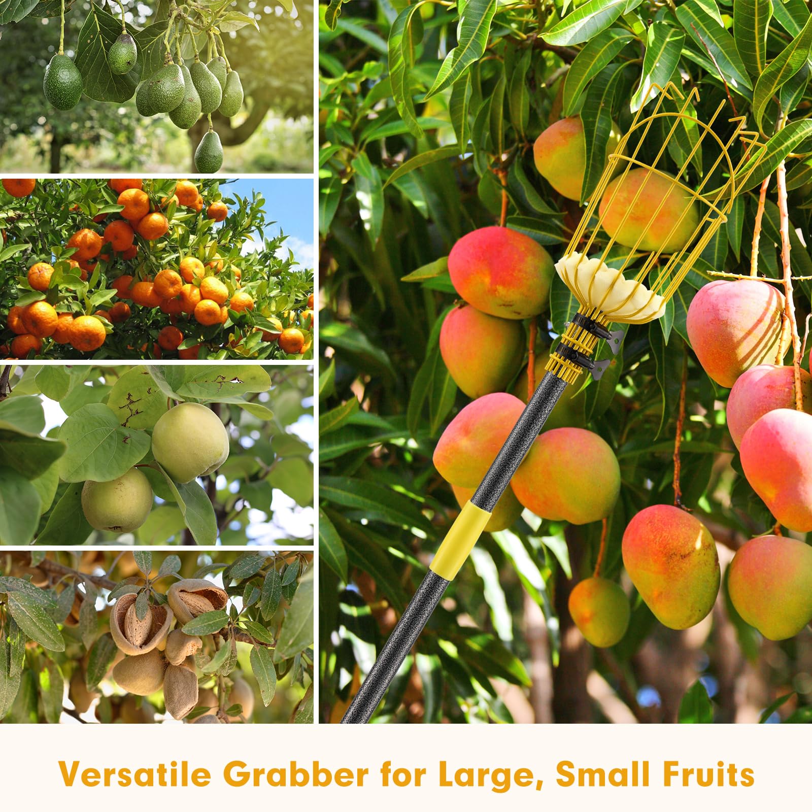 Raccogli Frutta con Palo -305 cm - Raccolta Frutta, Raccoglifrutta Regolabile in Altezza, Strumento per Raccolta Frutta ad alte Prestazioni, con Cesto di Frutta